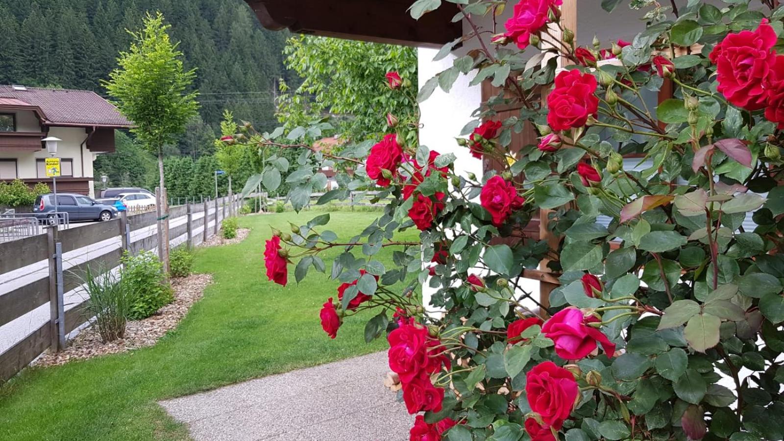 Gartenhaus Zur Kröllin