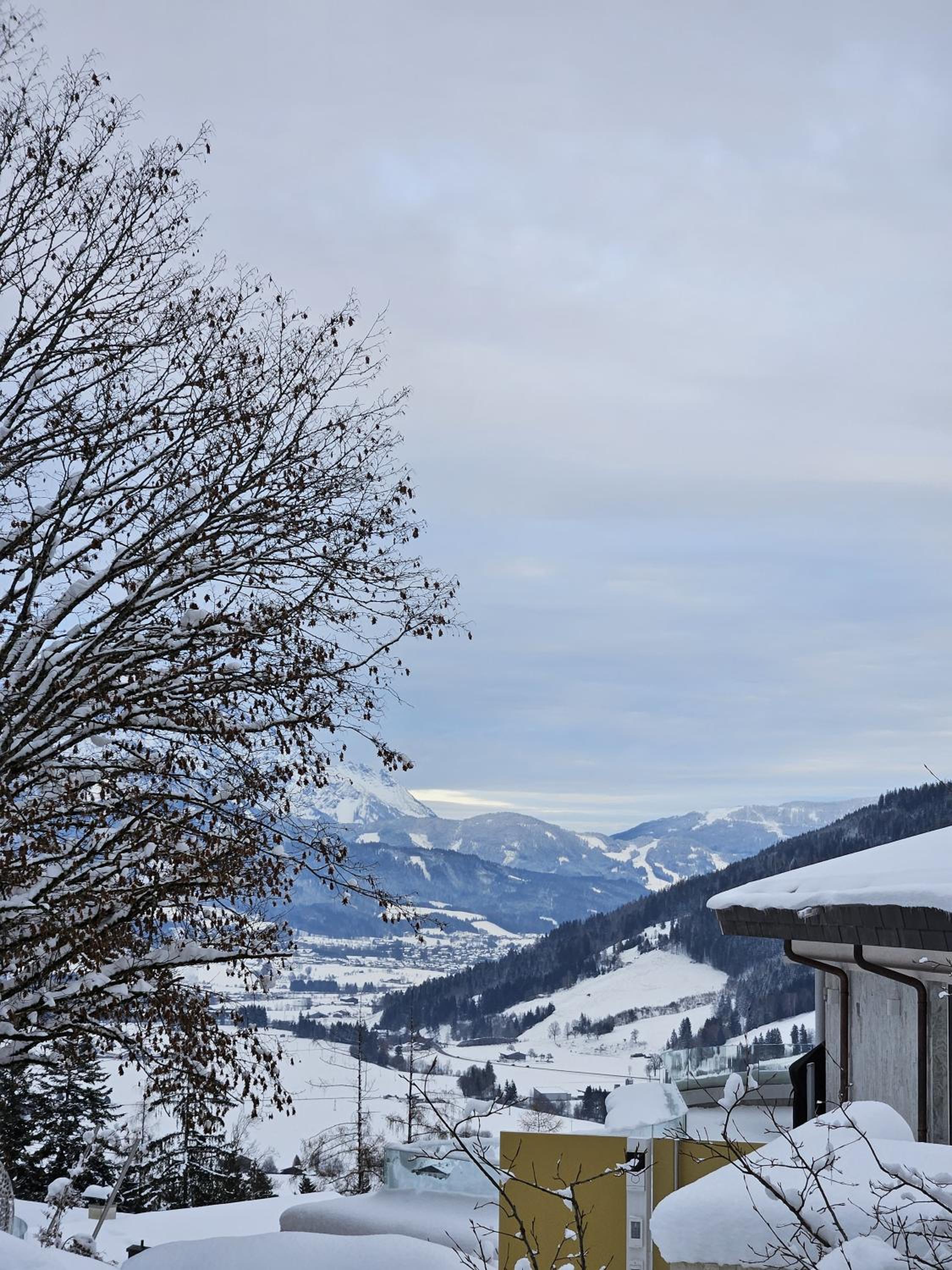 Ferienhaus Birnberg