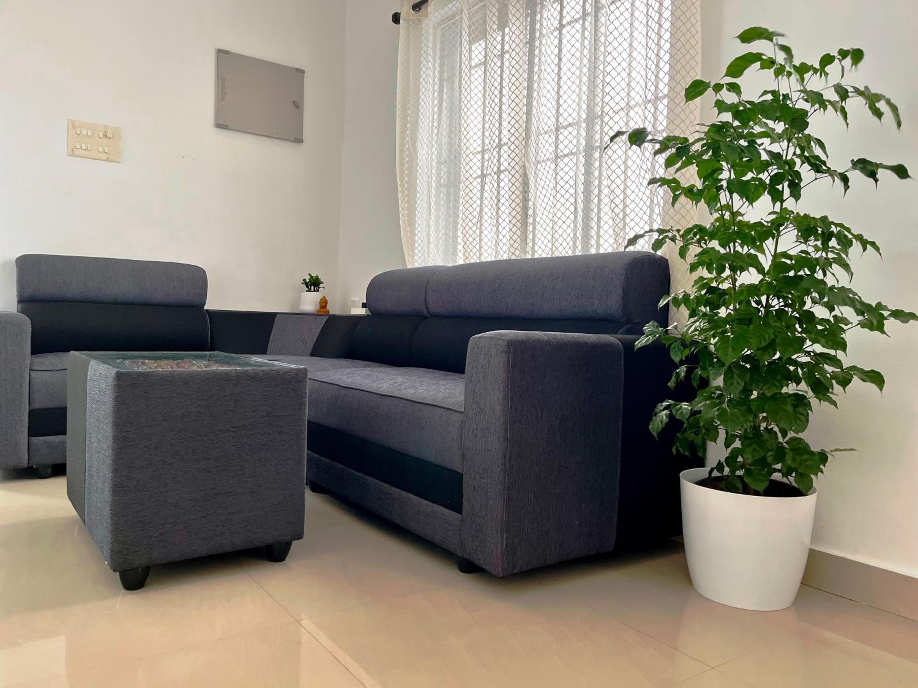 Segundo Home view 3