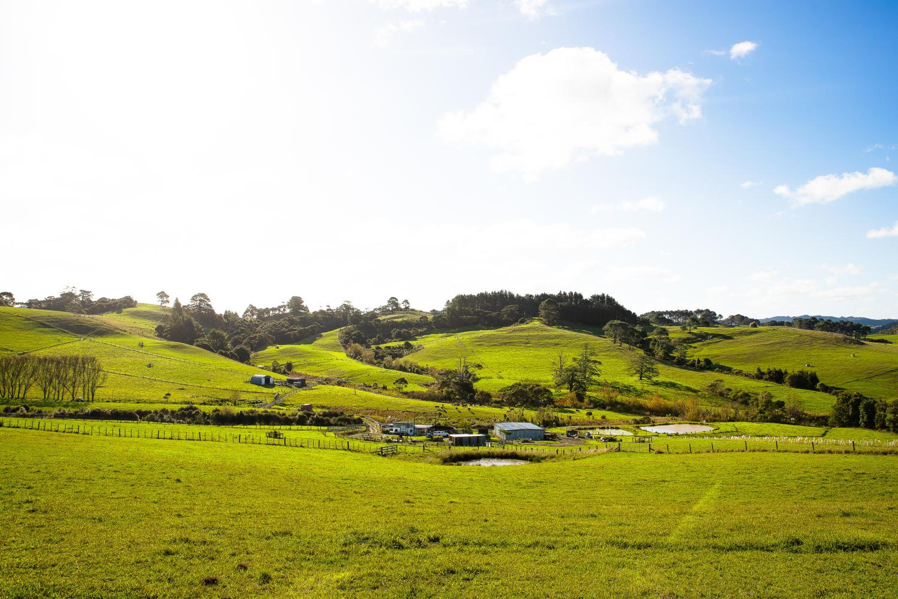 Bever Farm