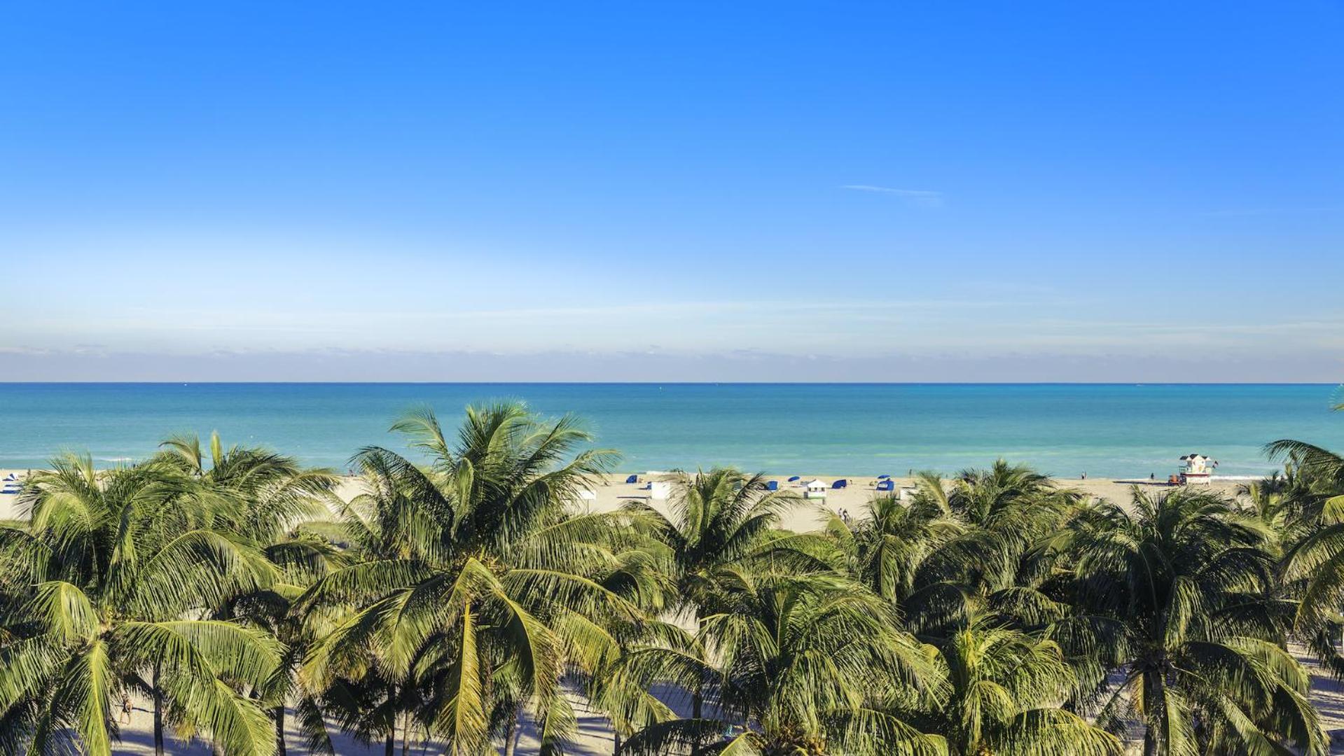 Oceanfront Loft at Castle Beach Club -M15 view 4