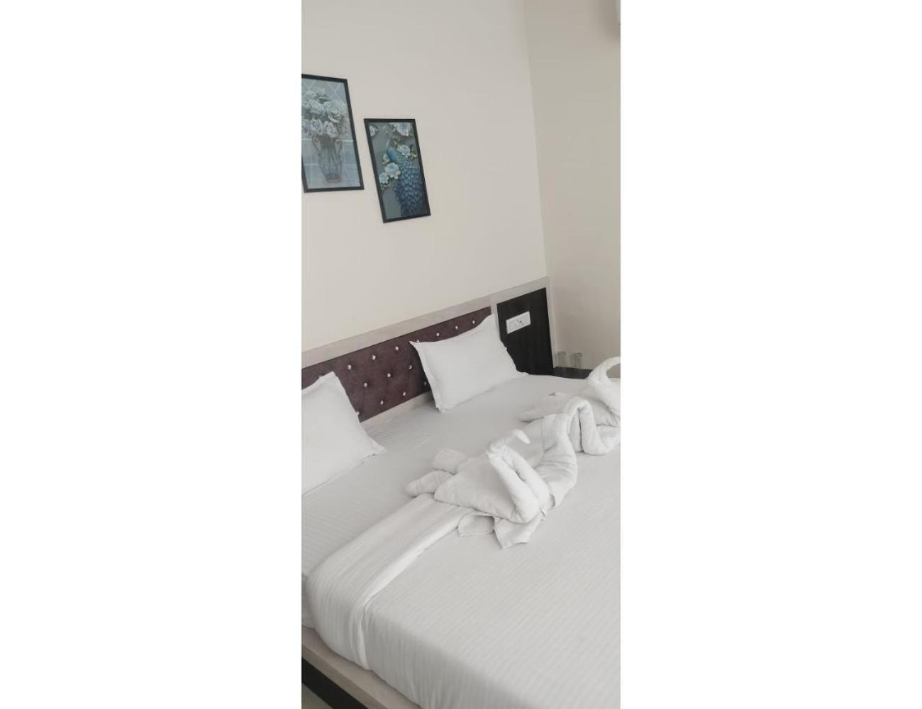 Hotel Dazzle, jodhpur view 5