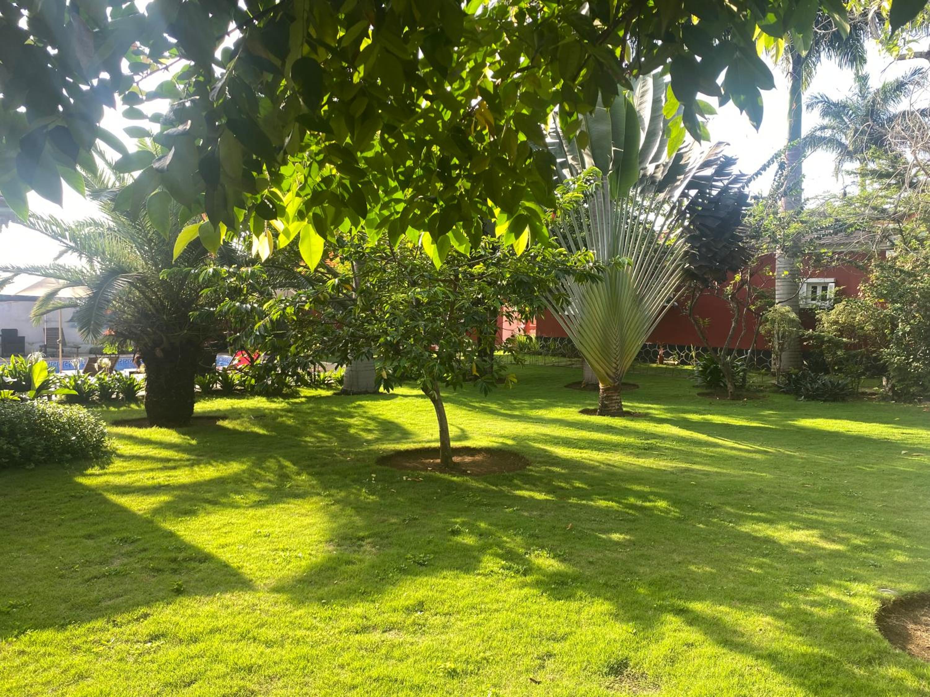 Photo 17
