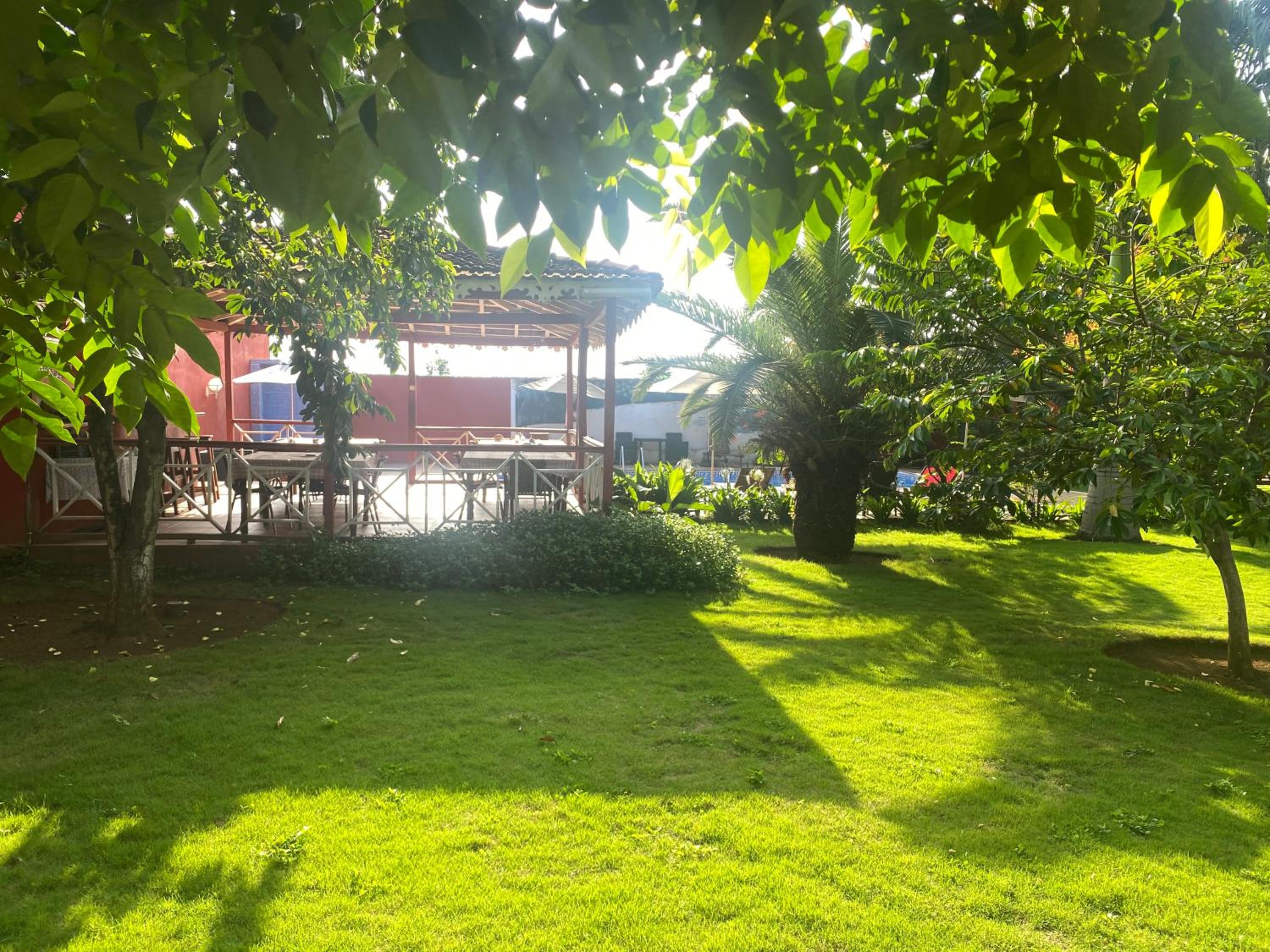 Photo 18