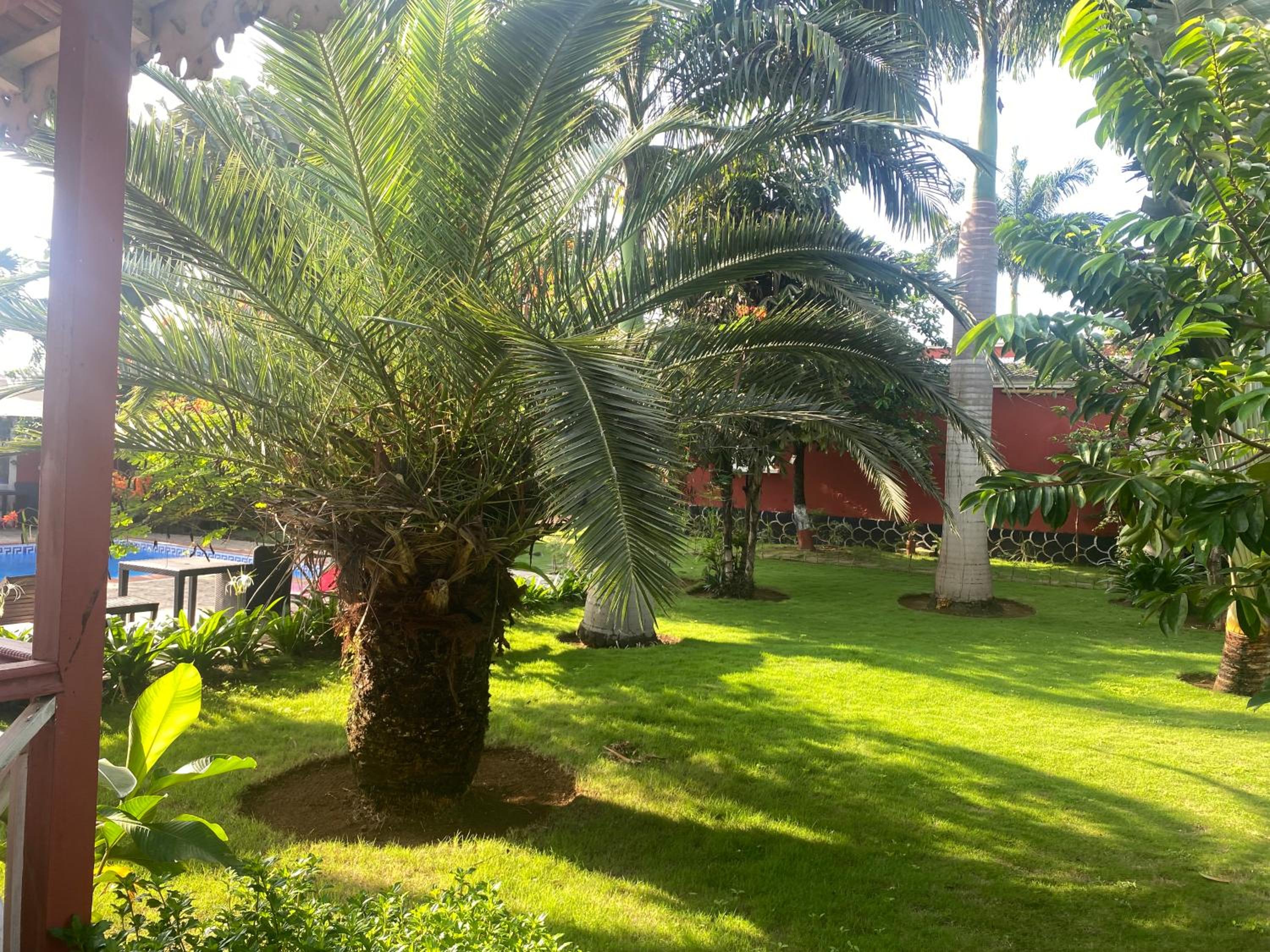 Photo 19