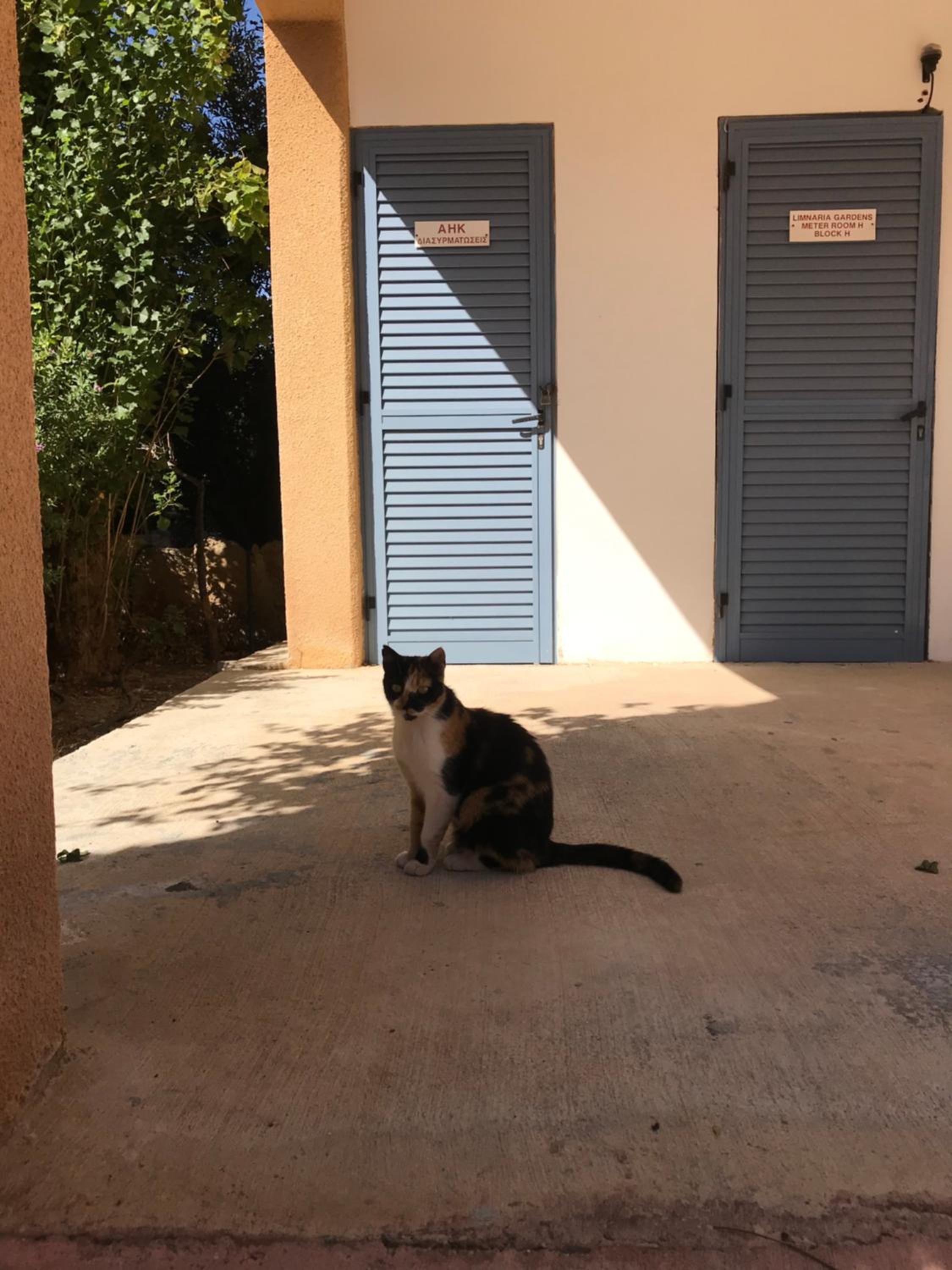 Limnaria Gardens K203 in Paphos
