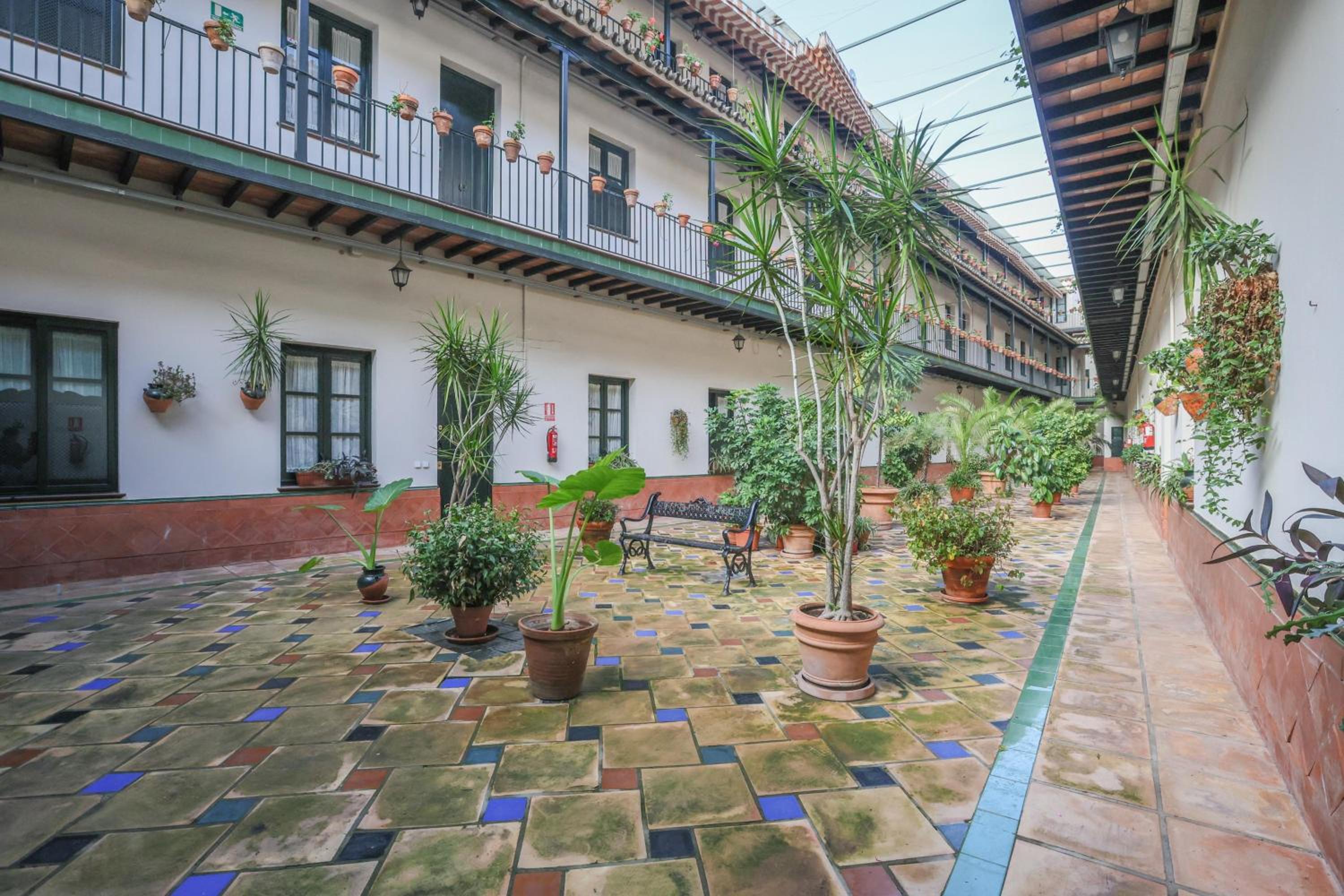 Patio de la Cartuja - 4 pax