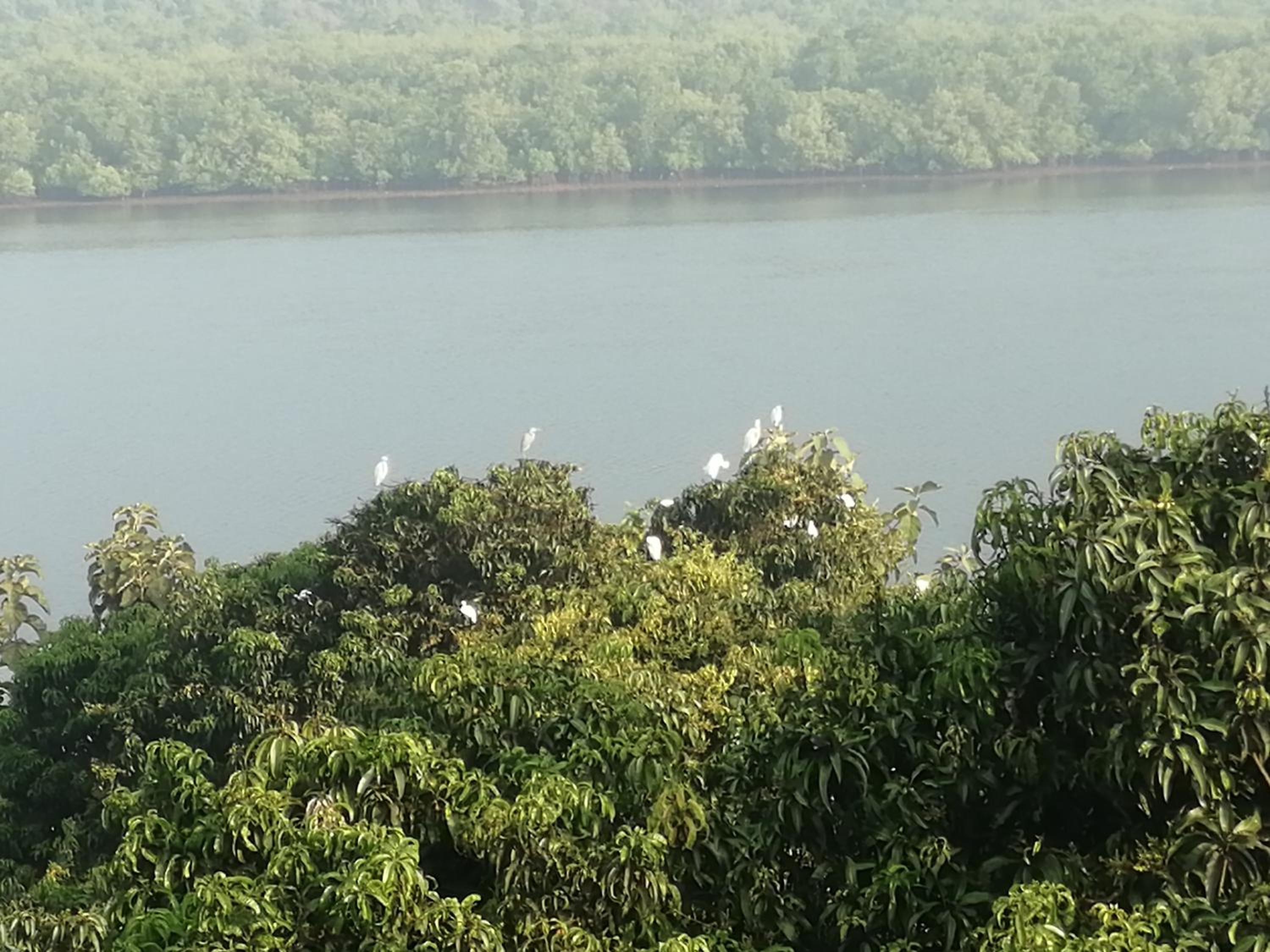 Samarth Homestay