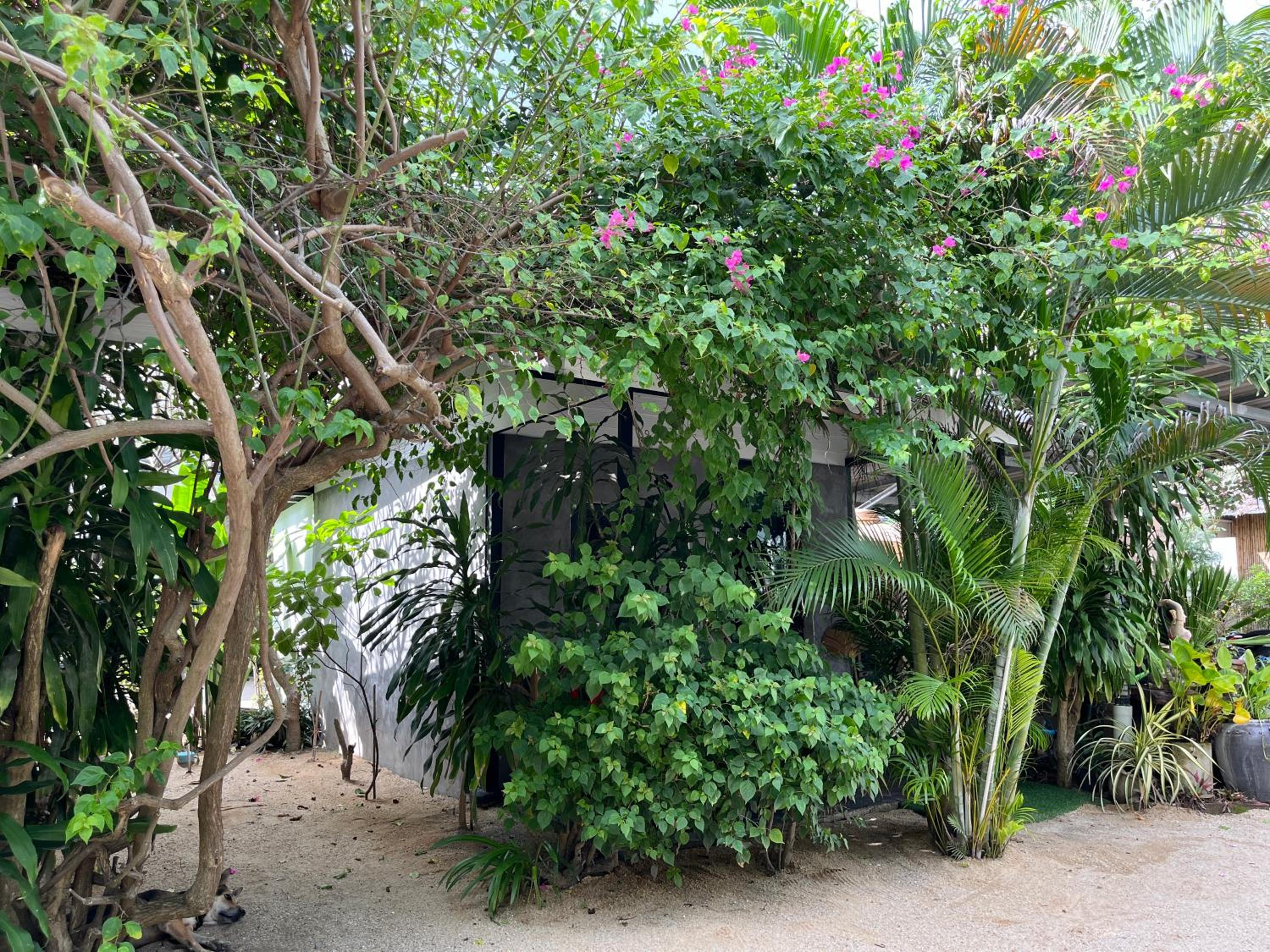 Namthip Homebeach