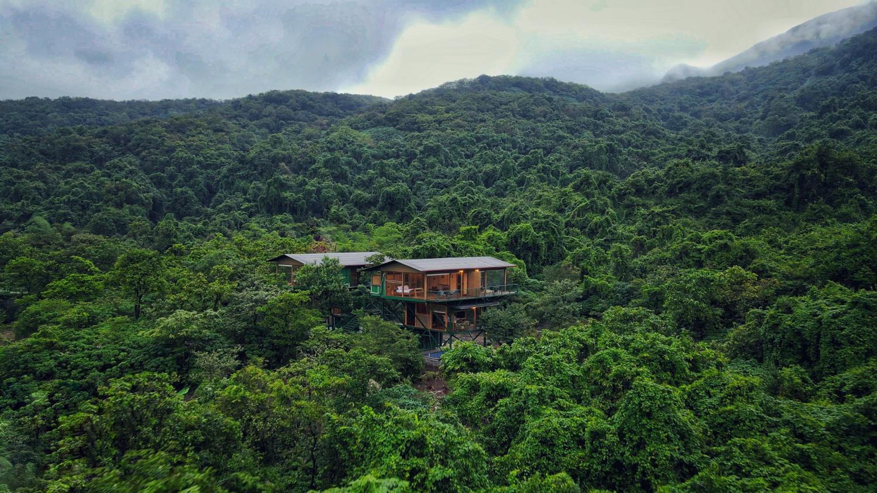 The Arboreal Resort view 5