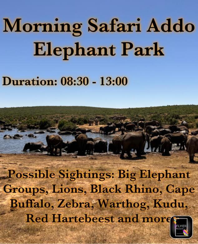 Homestead Bed and Breakfast - Travel Addo Group
