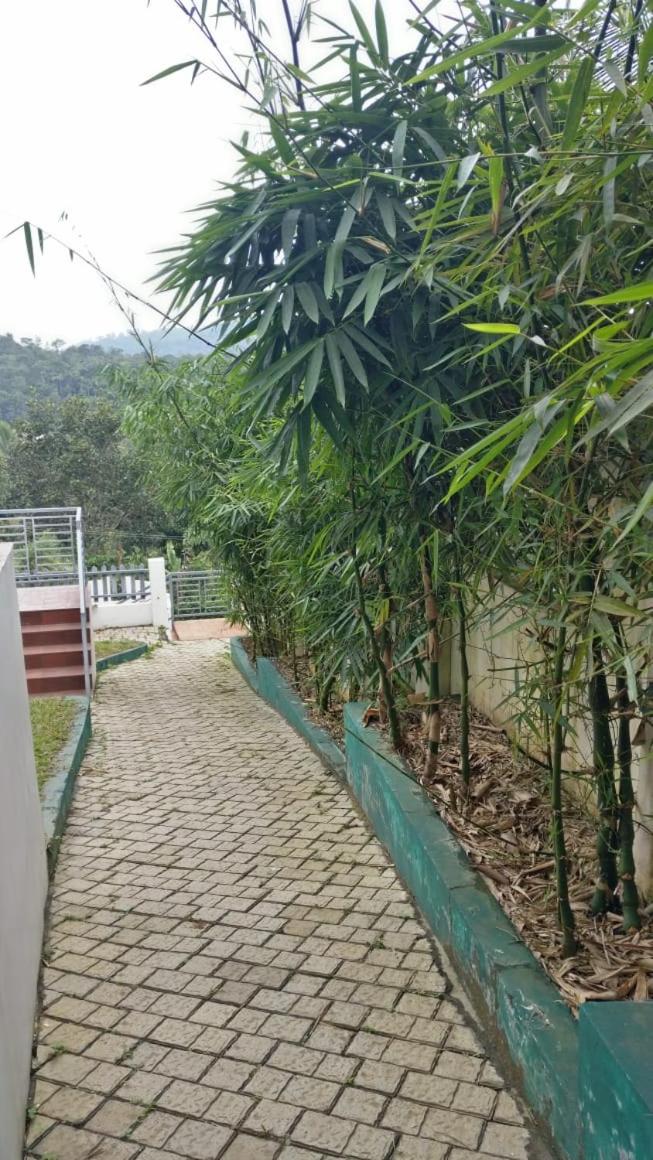 BAMBUSA COTTAGES