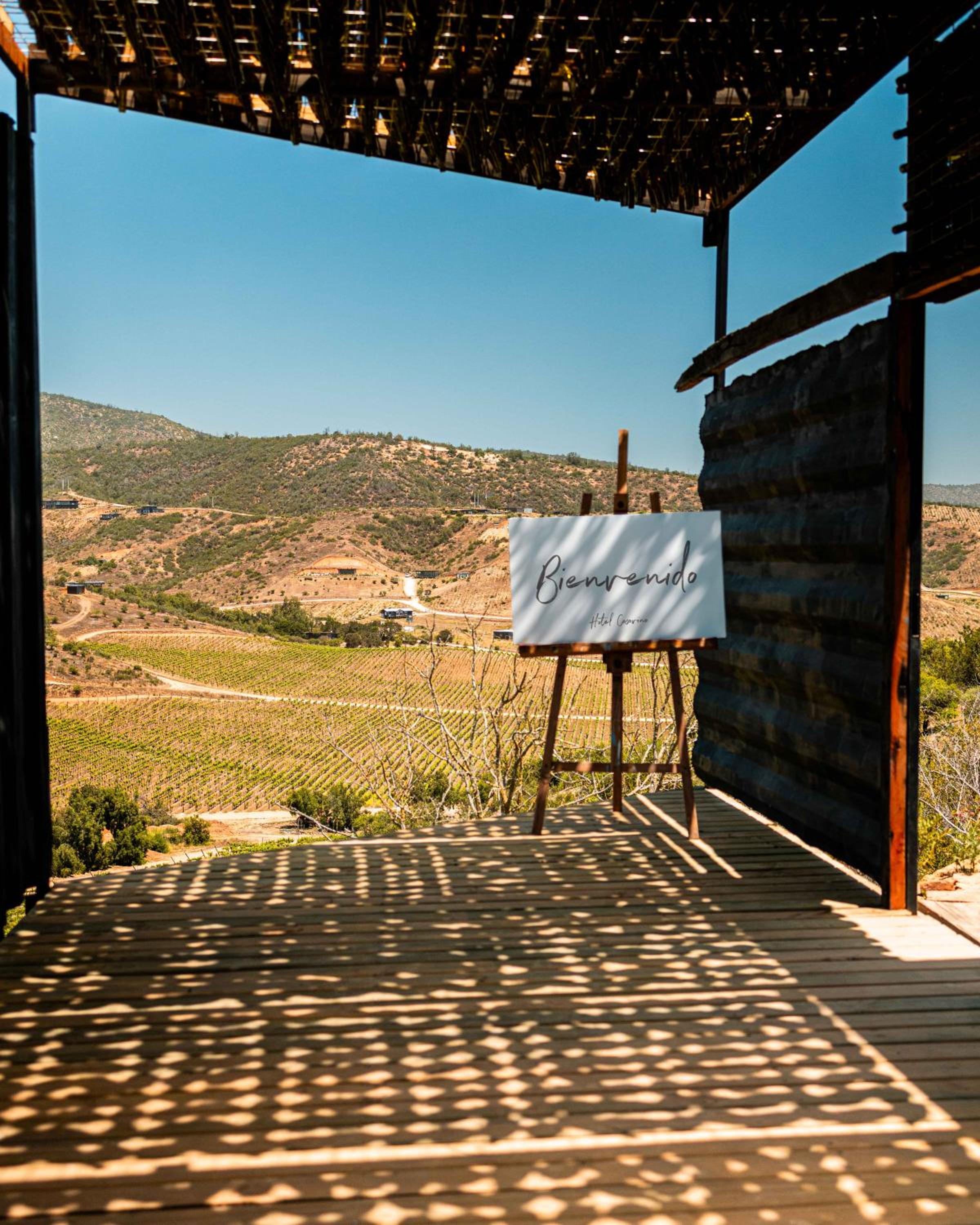 Residencia Artistica CasaVino