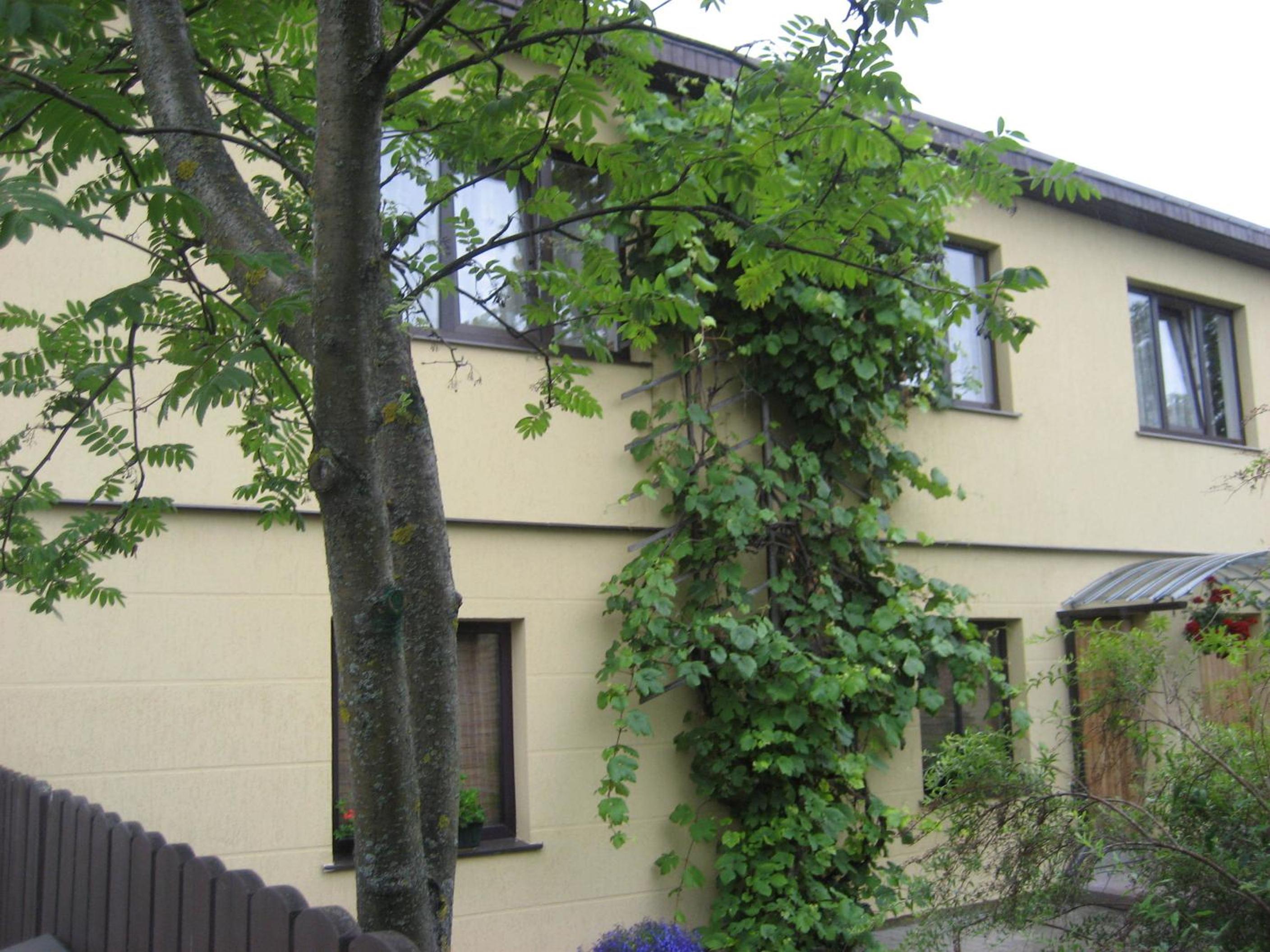 Guest House Maija view 2