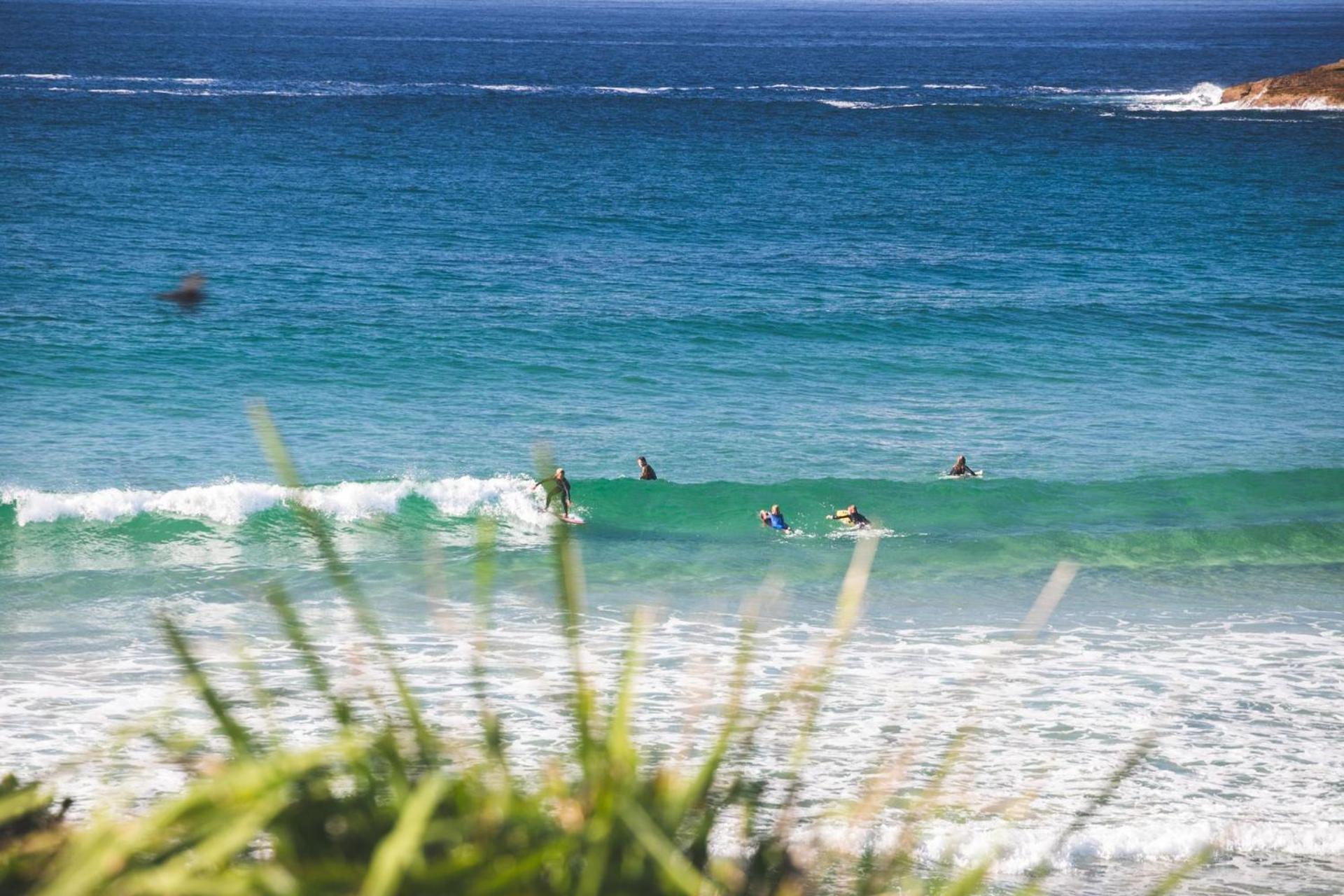 Lovedaze at Kioloa