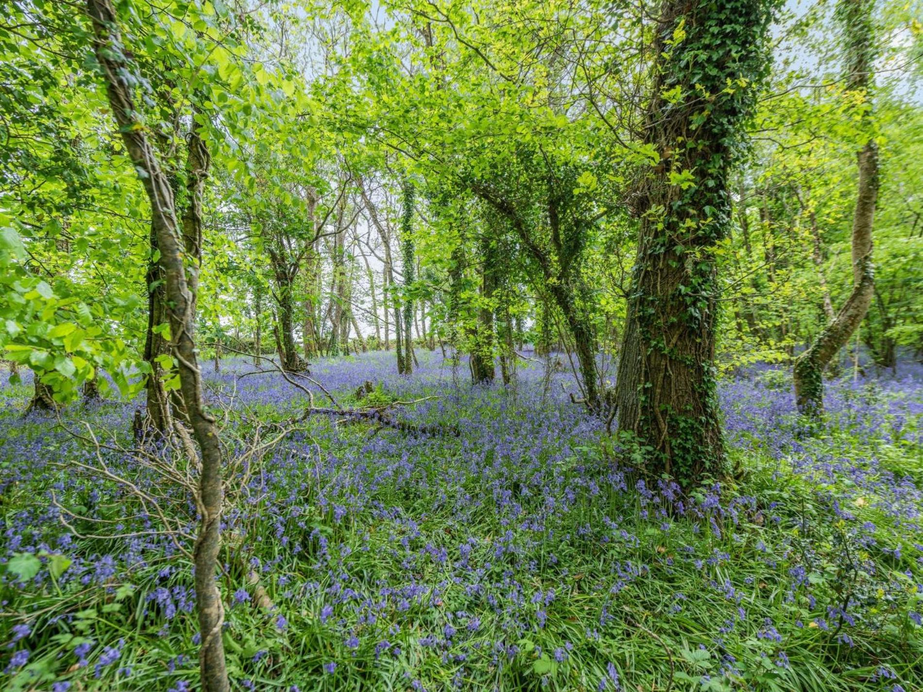 5 Bed in Okehampton oc-wagol view 2