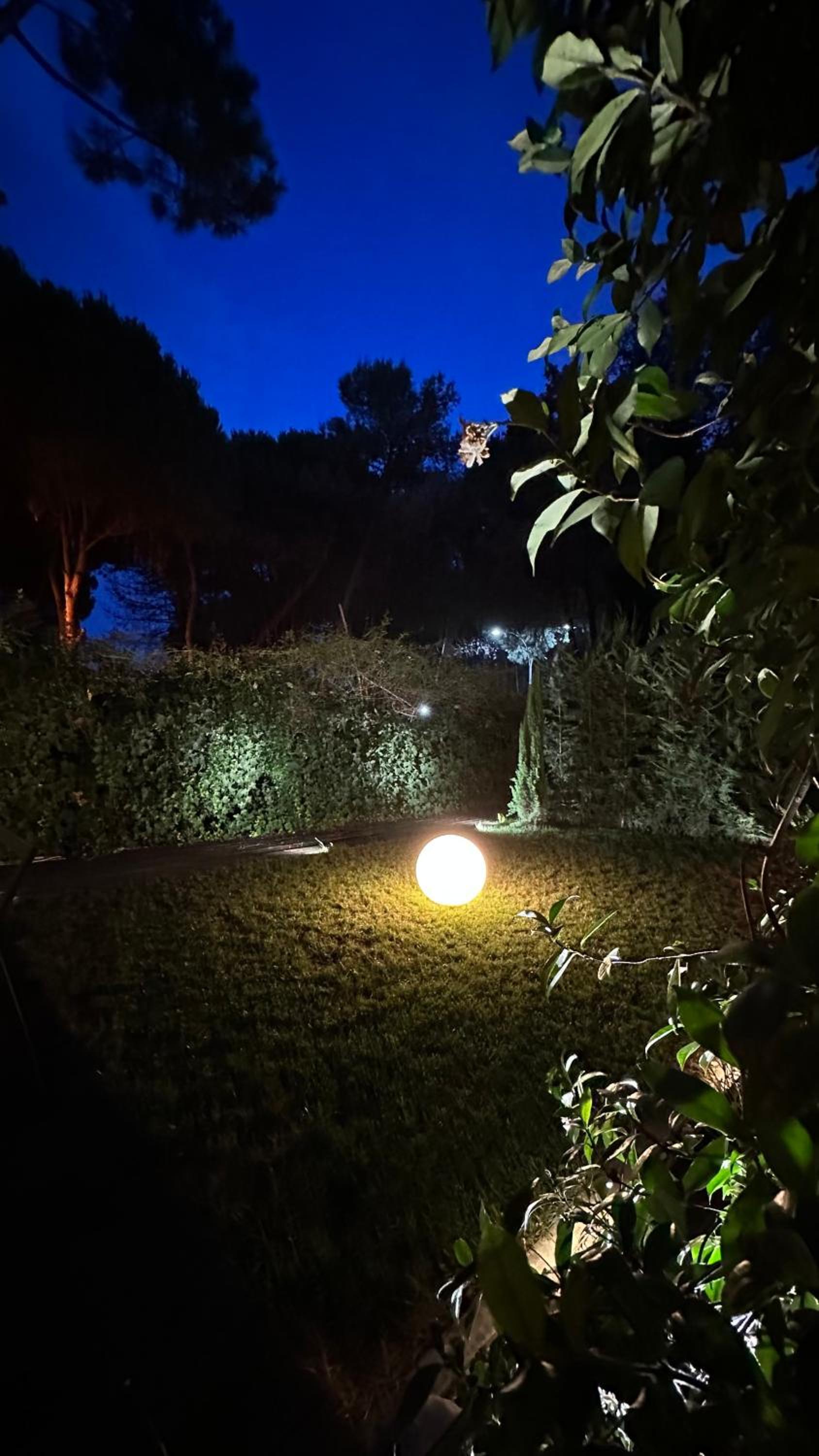 Deluxe Garden Apartment at Marea Resort