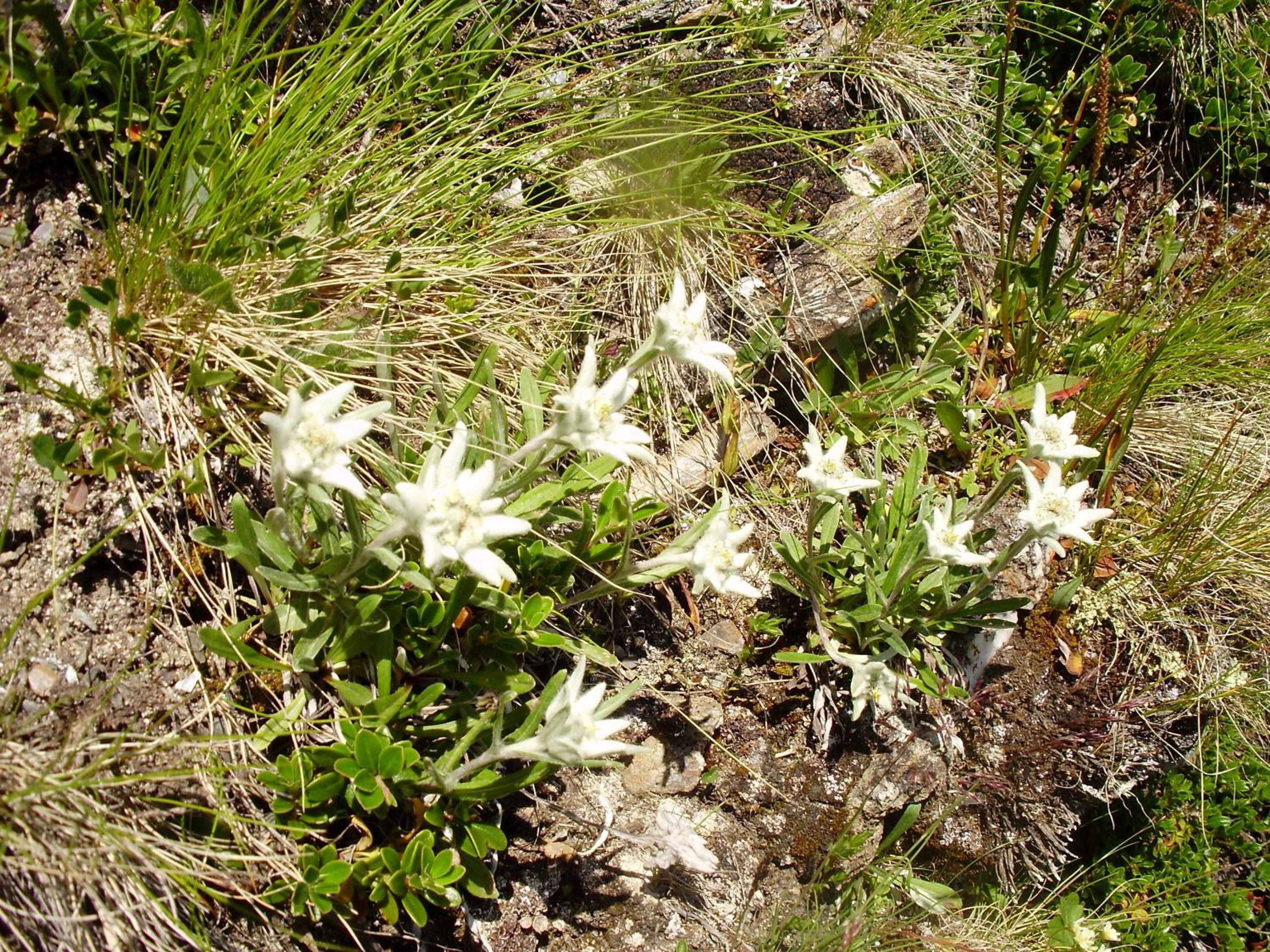 Photo 40