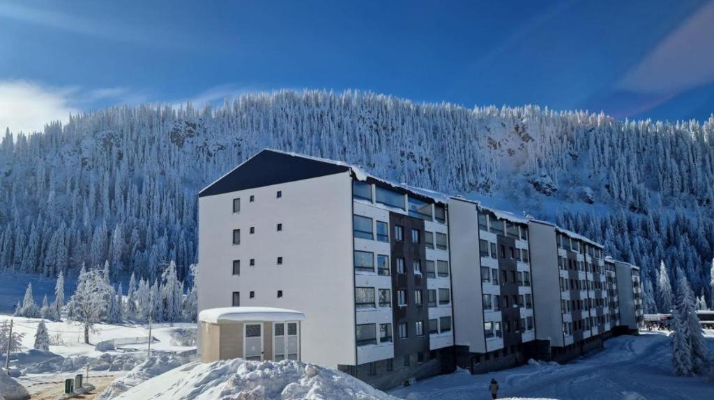 Hrast Apartman Šestosjed Trnovo