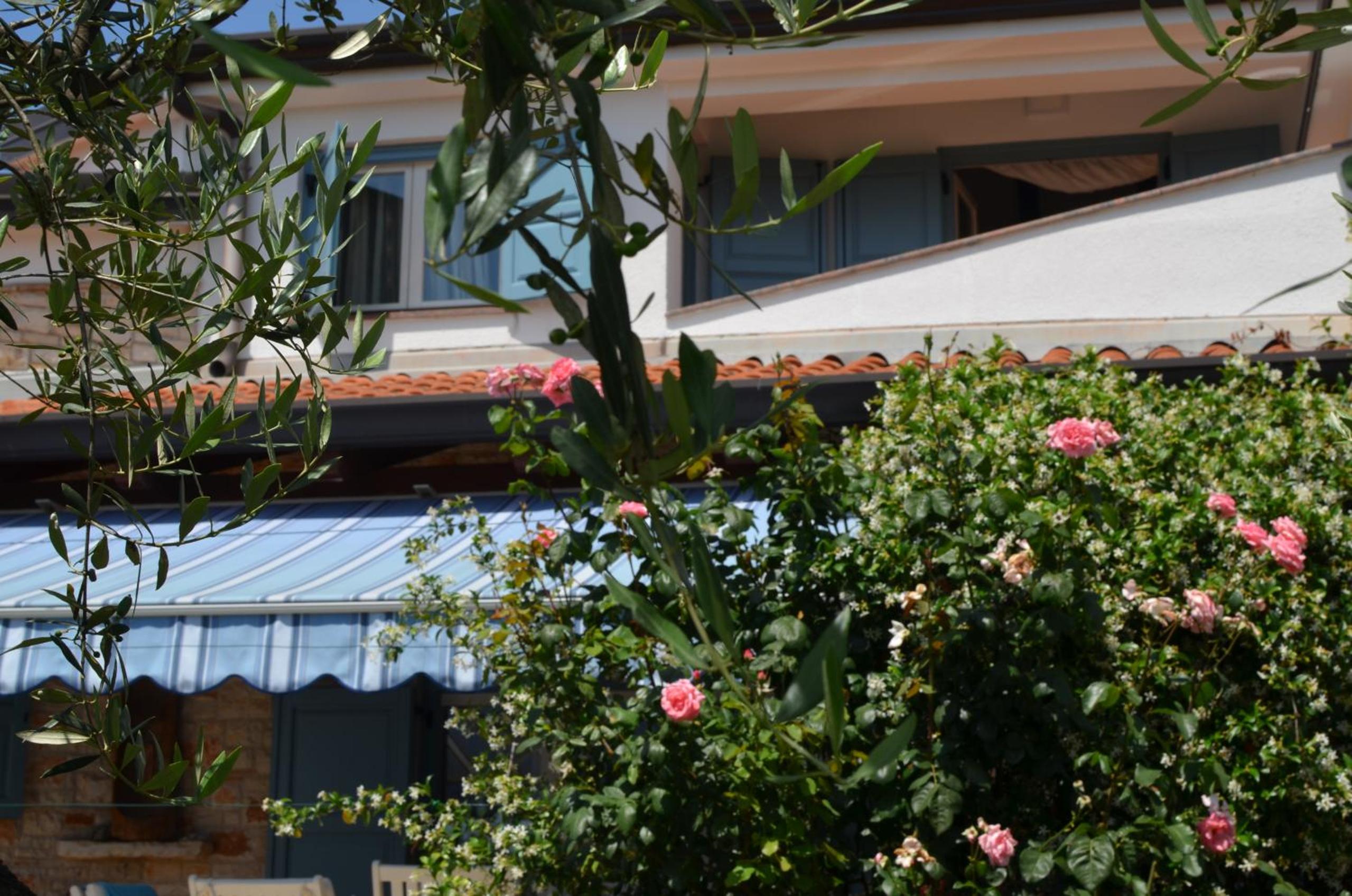 Holiday Home Sverko with garden in Novigrad view 2