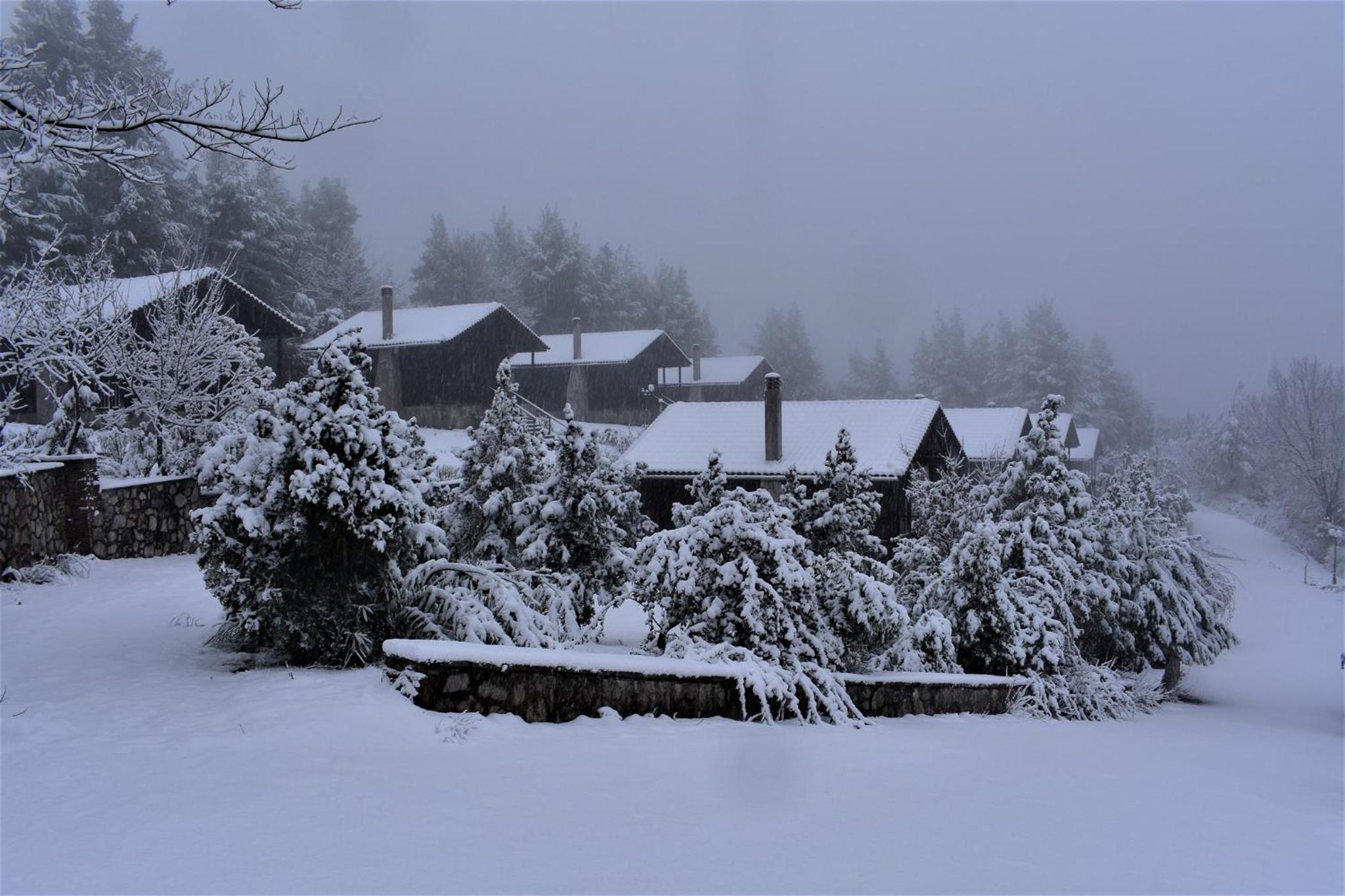 EVIA FOREST VILLAGE view 5