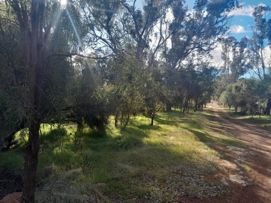 Rose Creek Farm Stay, Williams