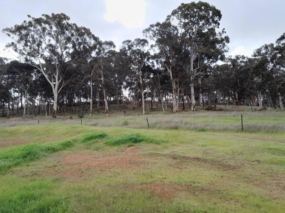 Rose Creek Farm Stay, Williams