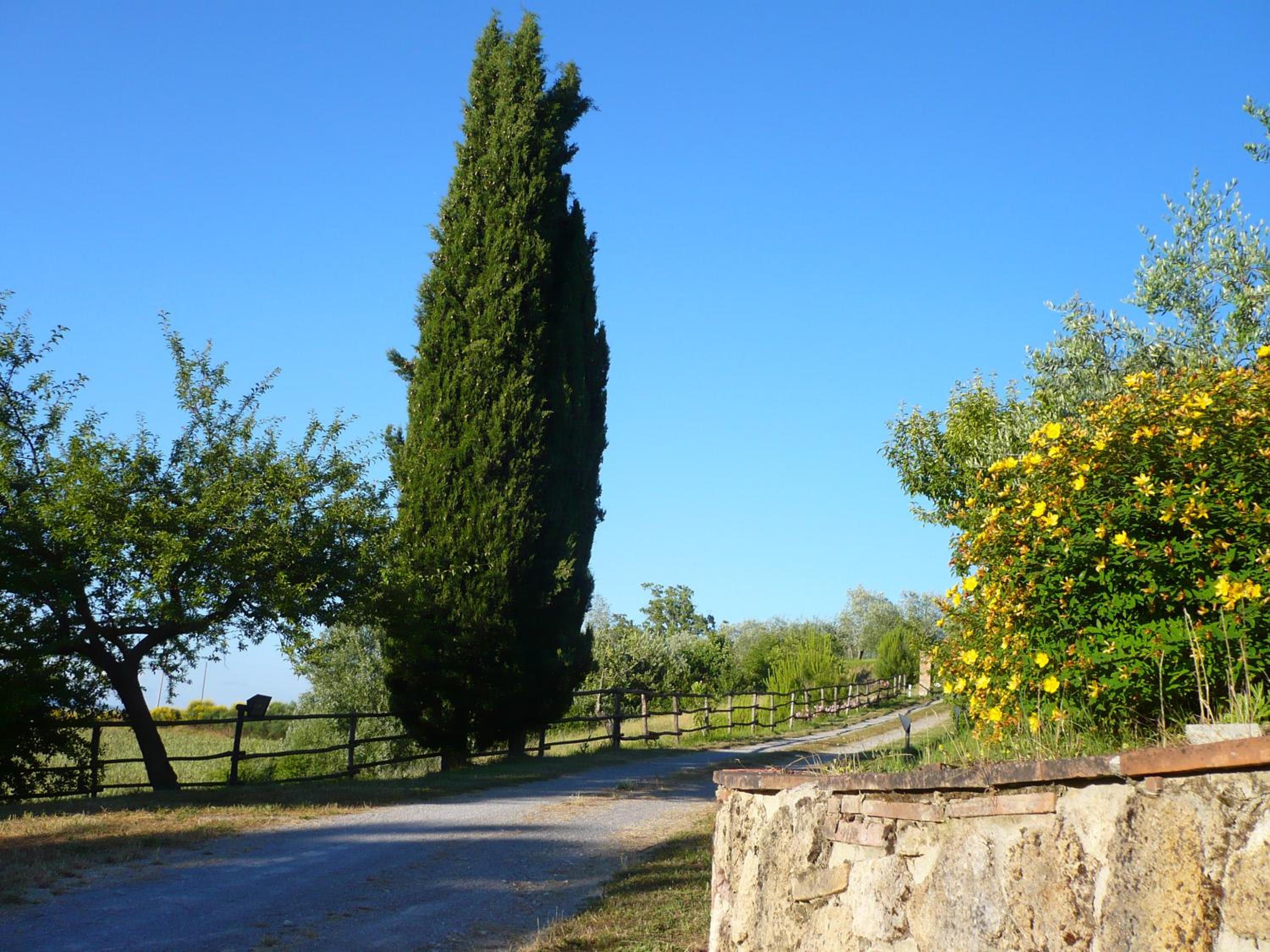 Photo 47