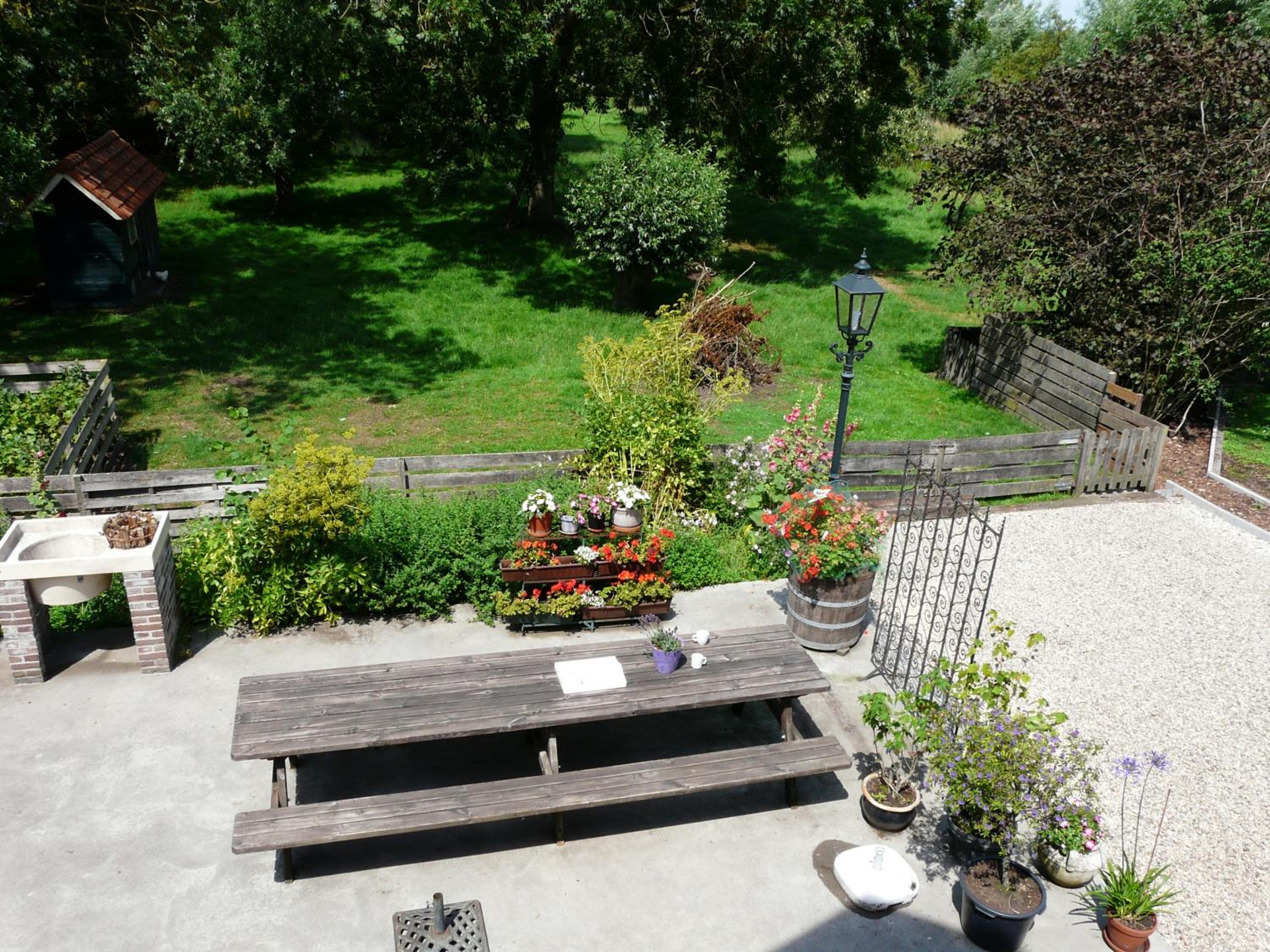 Photo 11