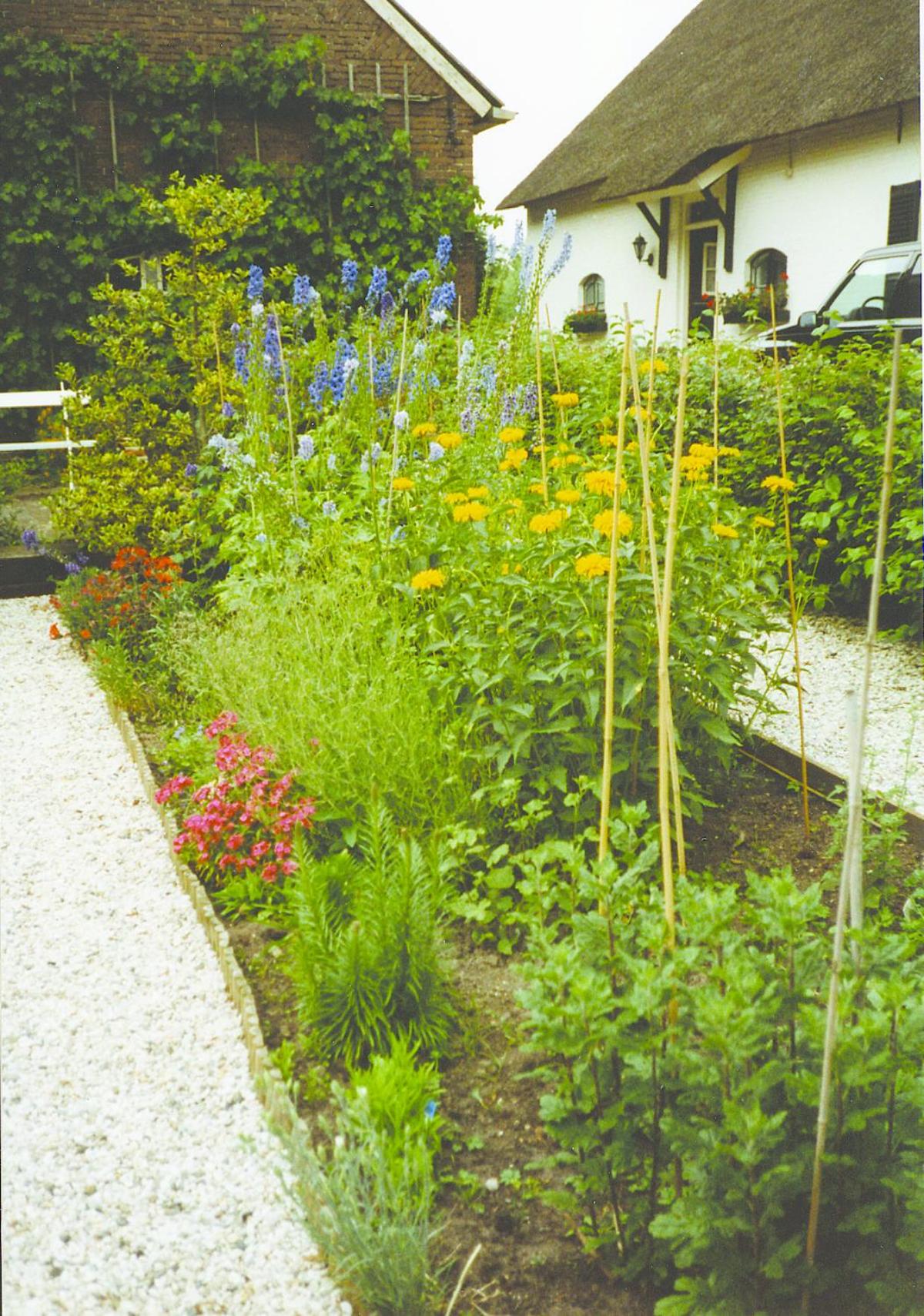 Photo 14