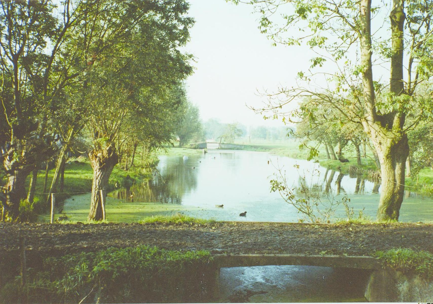 Photo 40