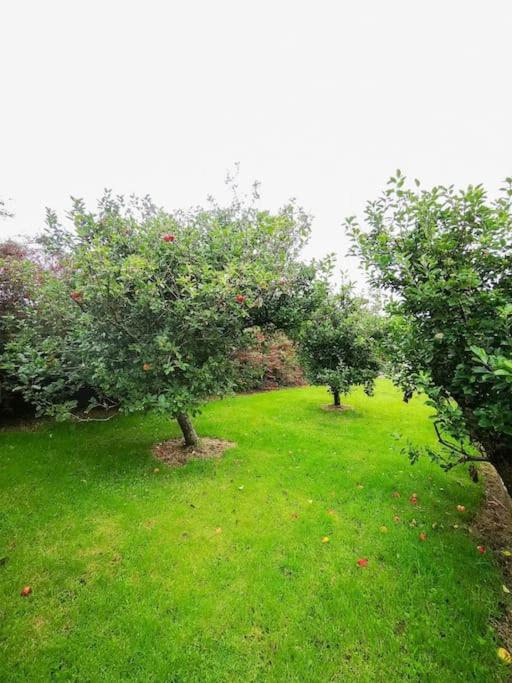 Orchard Cottage
