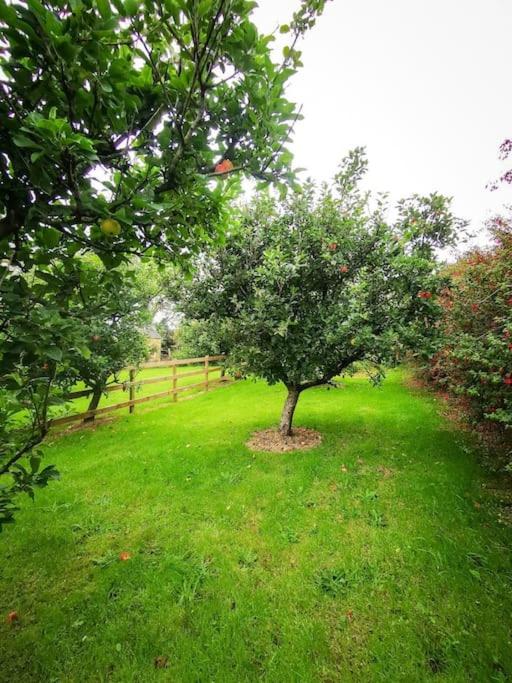 Orchard Cottage