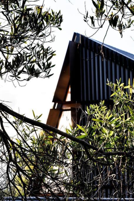 Apollo Bay House