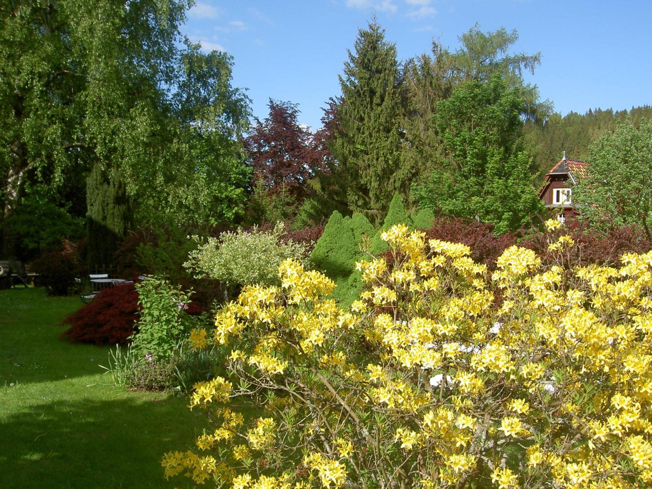 Pension Waldesblick