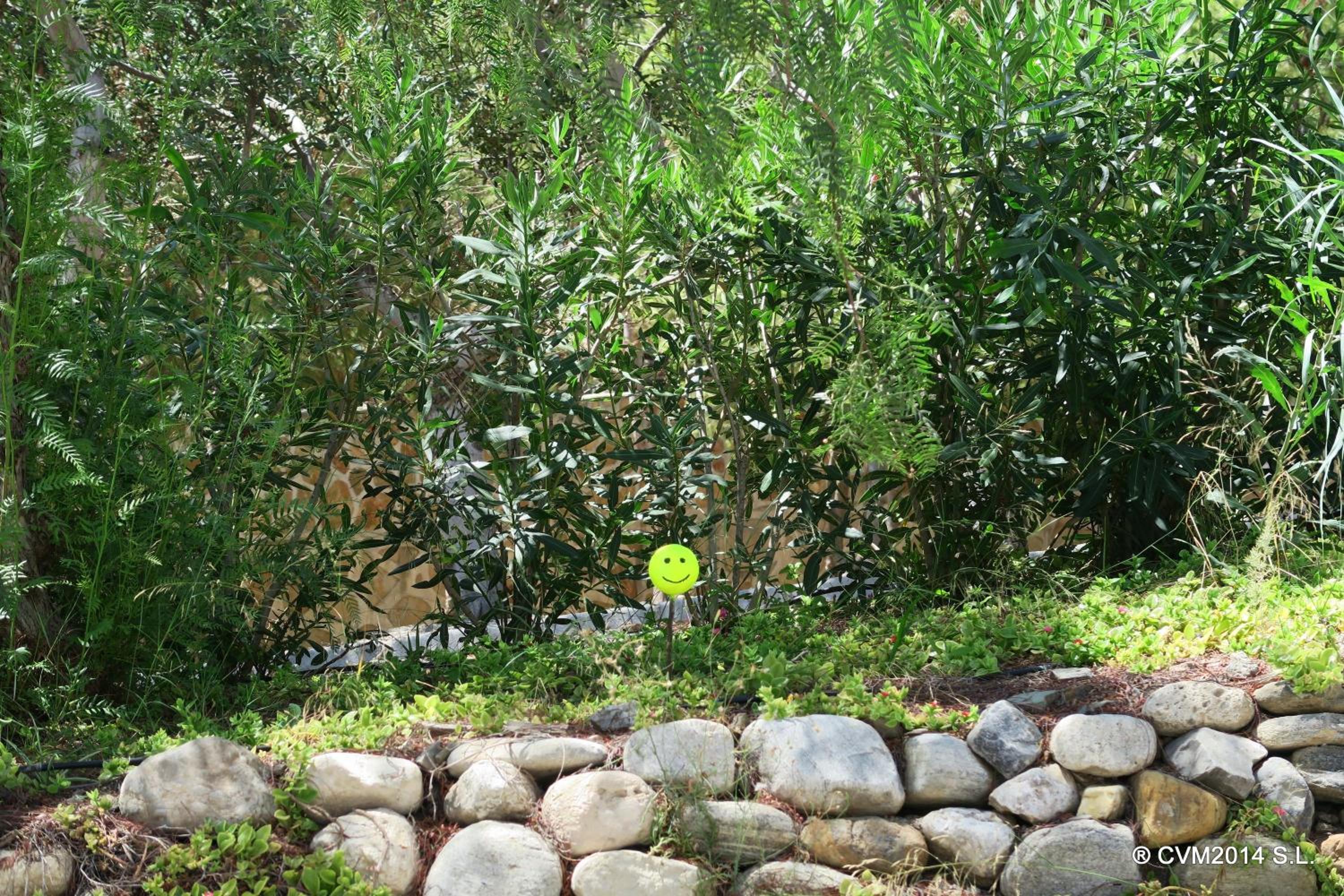 Centro Vacacional Macenas