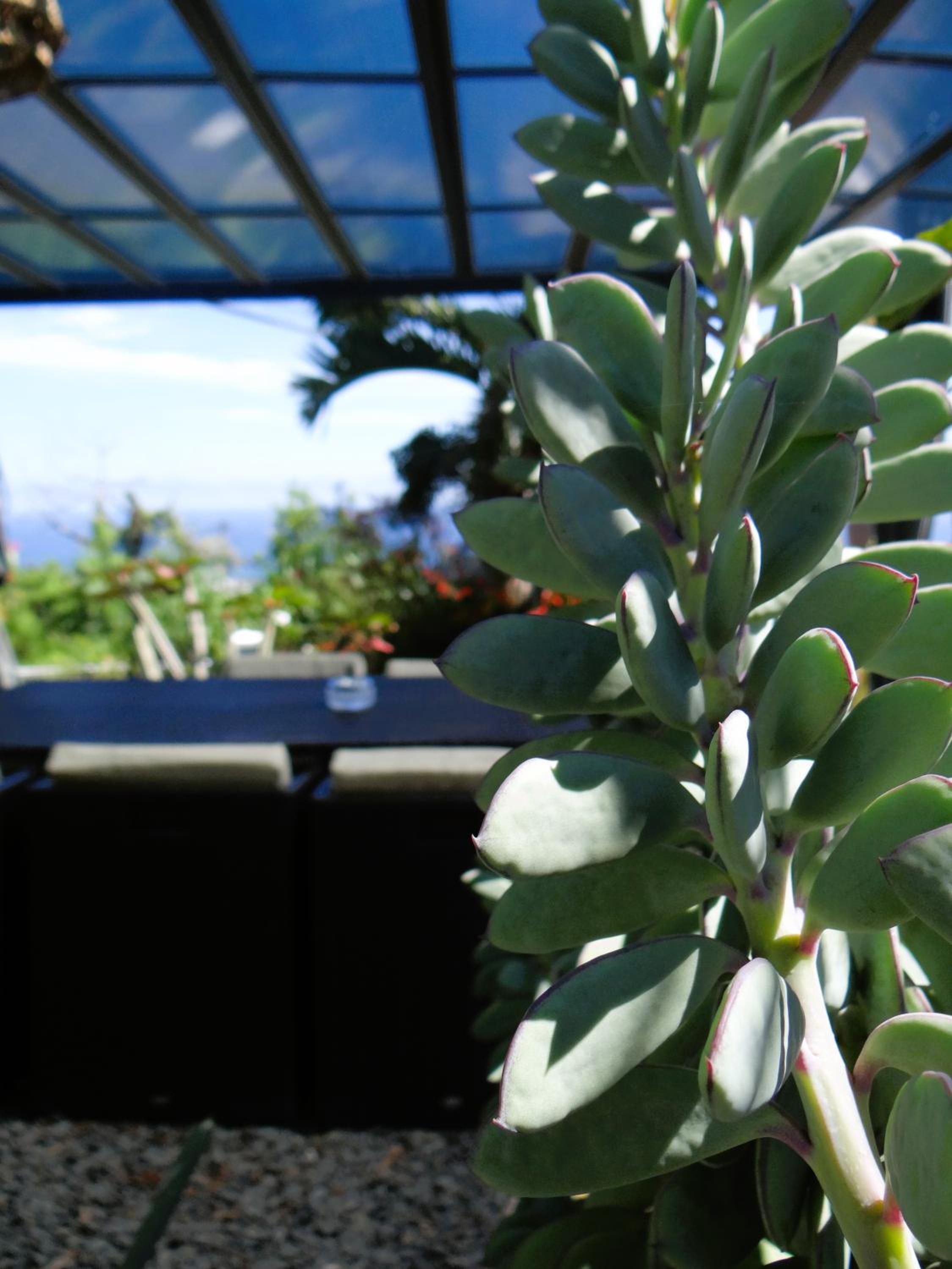Le Cocon de Madana view 5