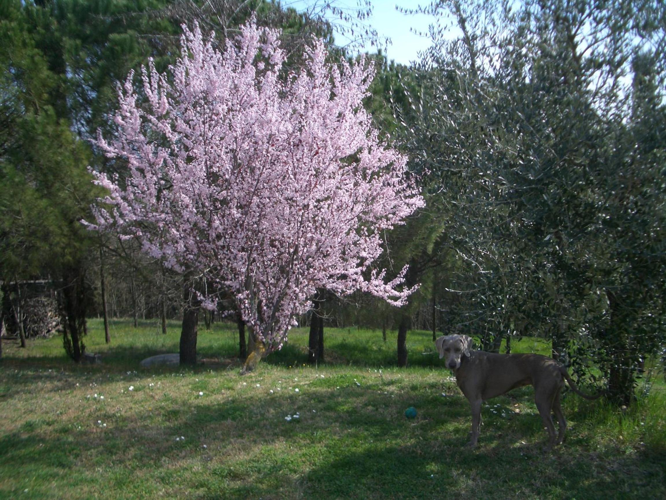 Il Cigliere your holiday home in the heart of Tuscany