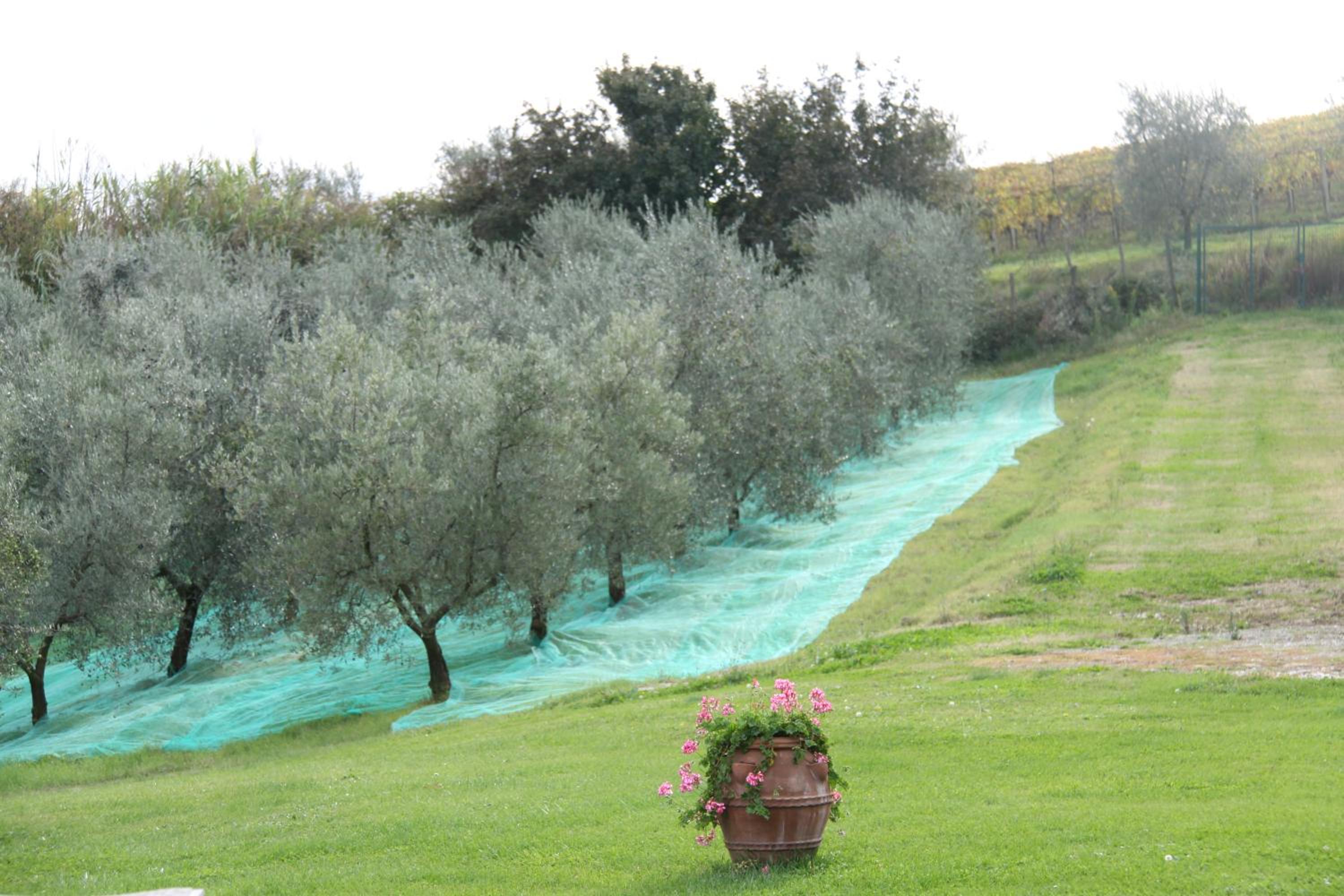 Il Cigliere your holiday home in the heart of Tuscany
