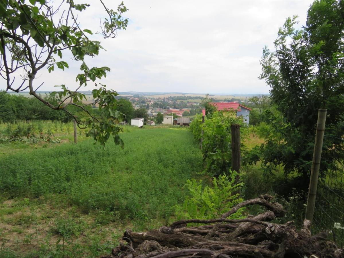Apartmán Bohemia view 2