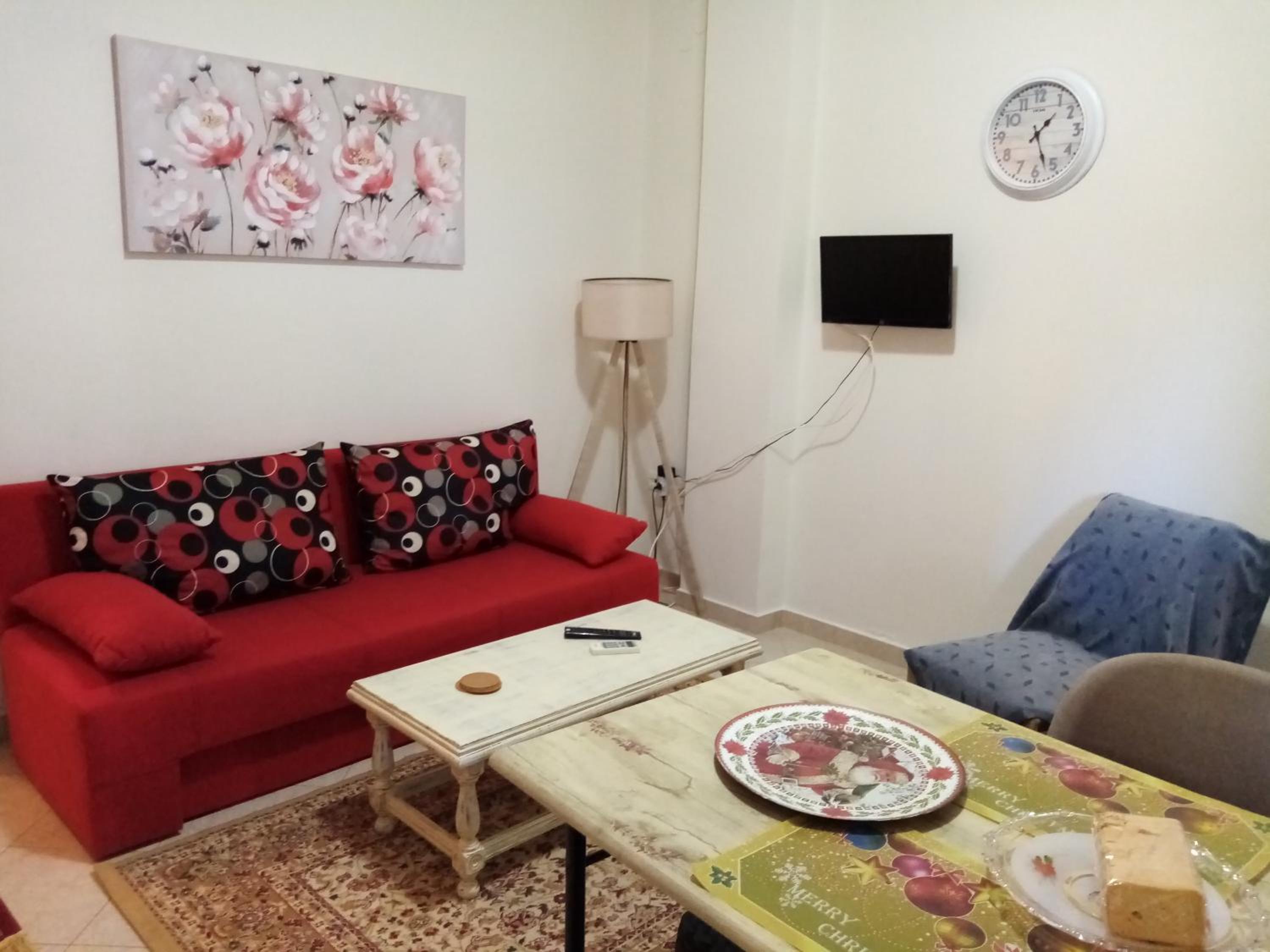 Olga's House