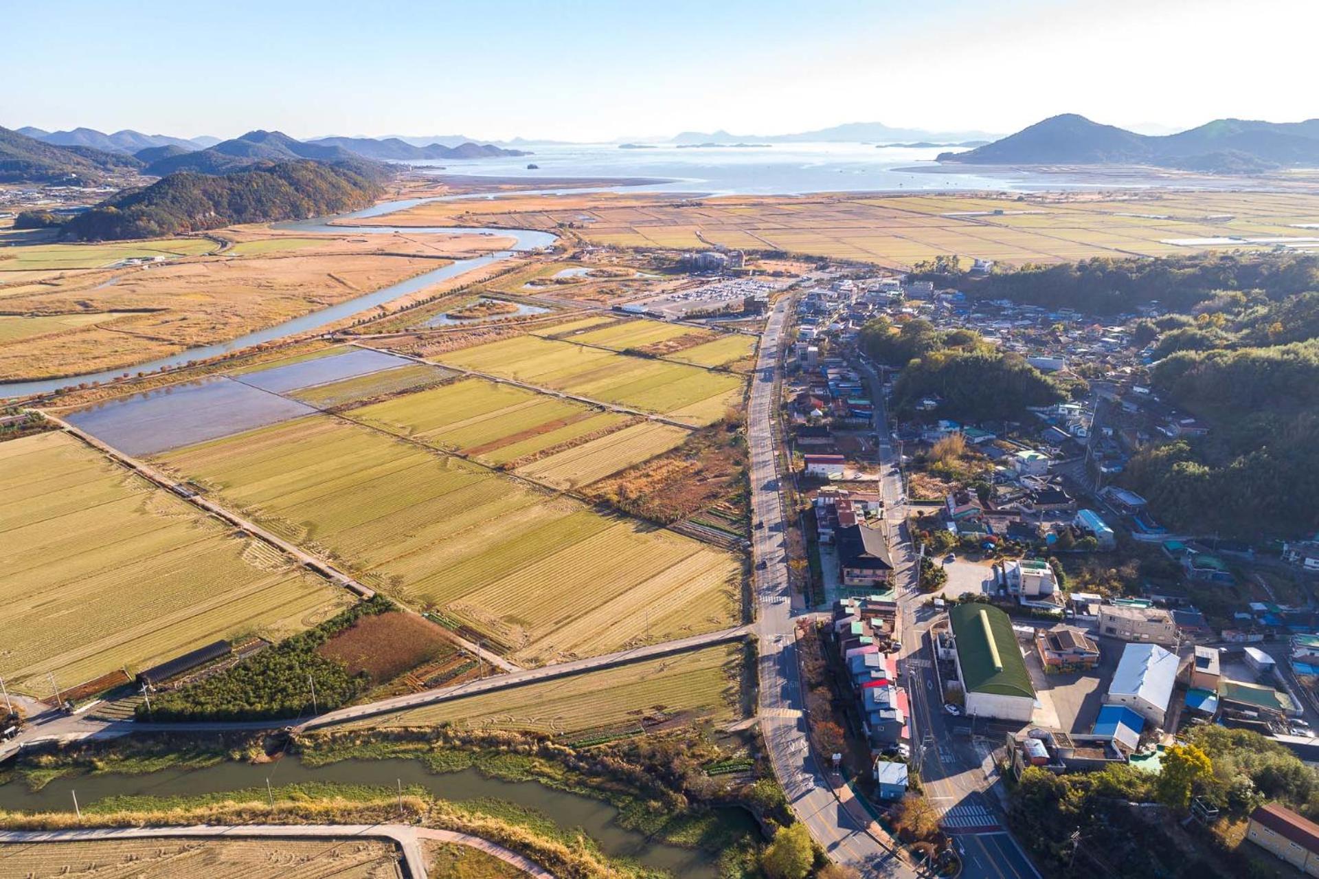 Suncheonbay Reed Field Pension
