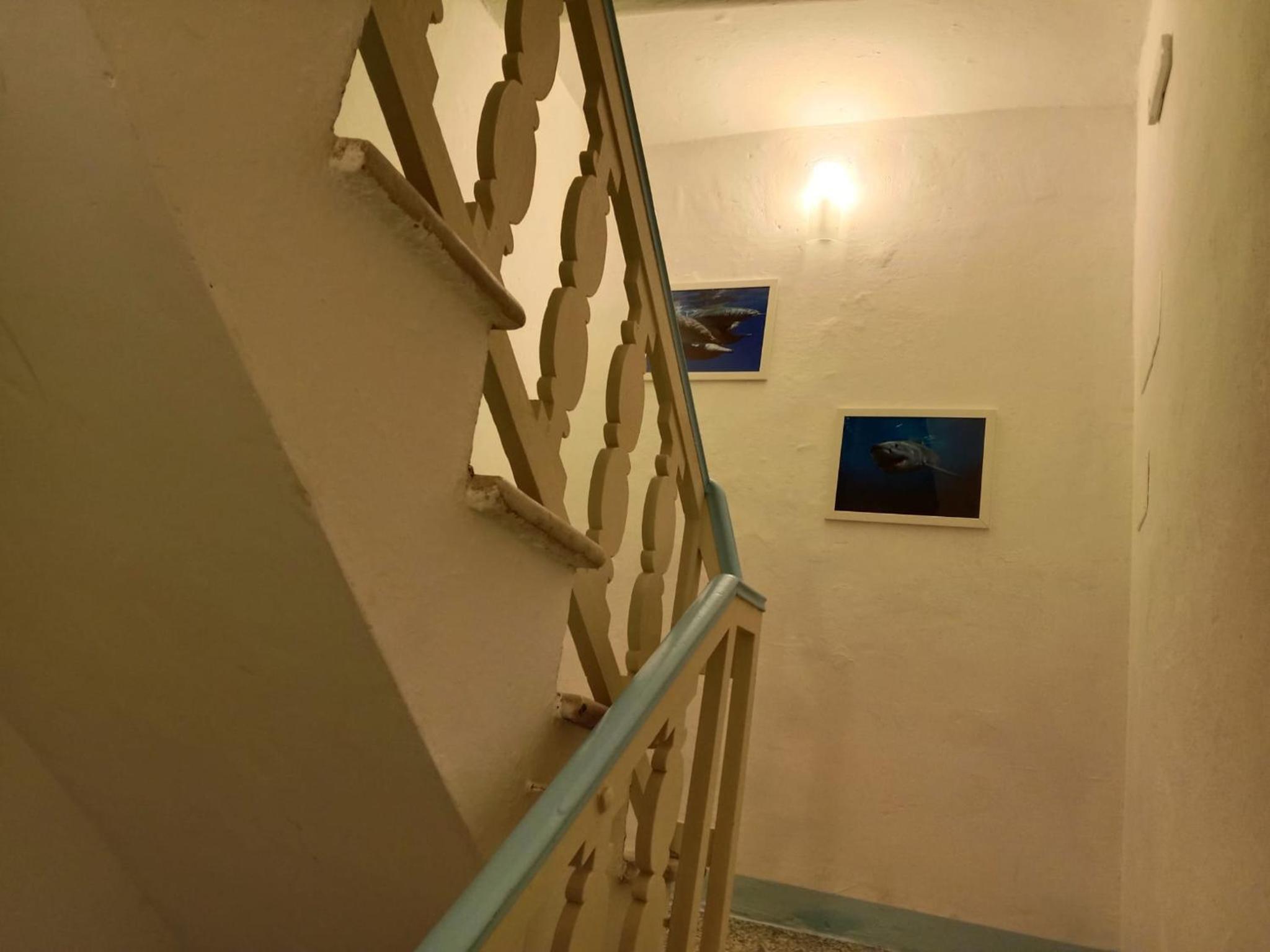 DEMIVIE GUESTHOUSE