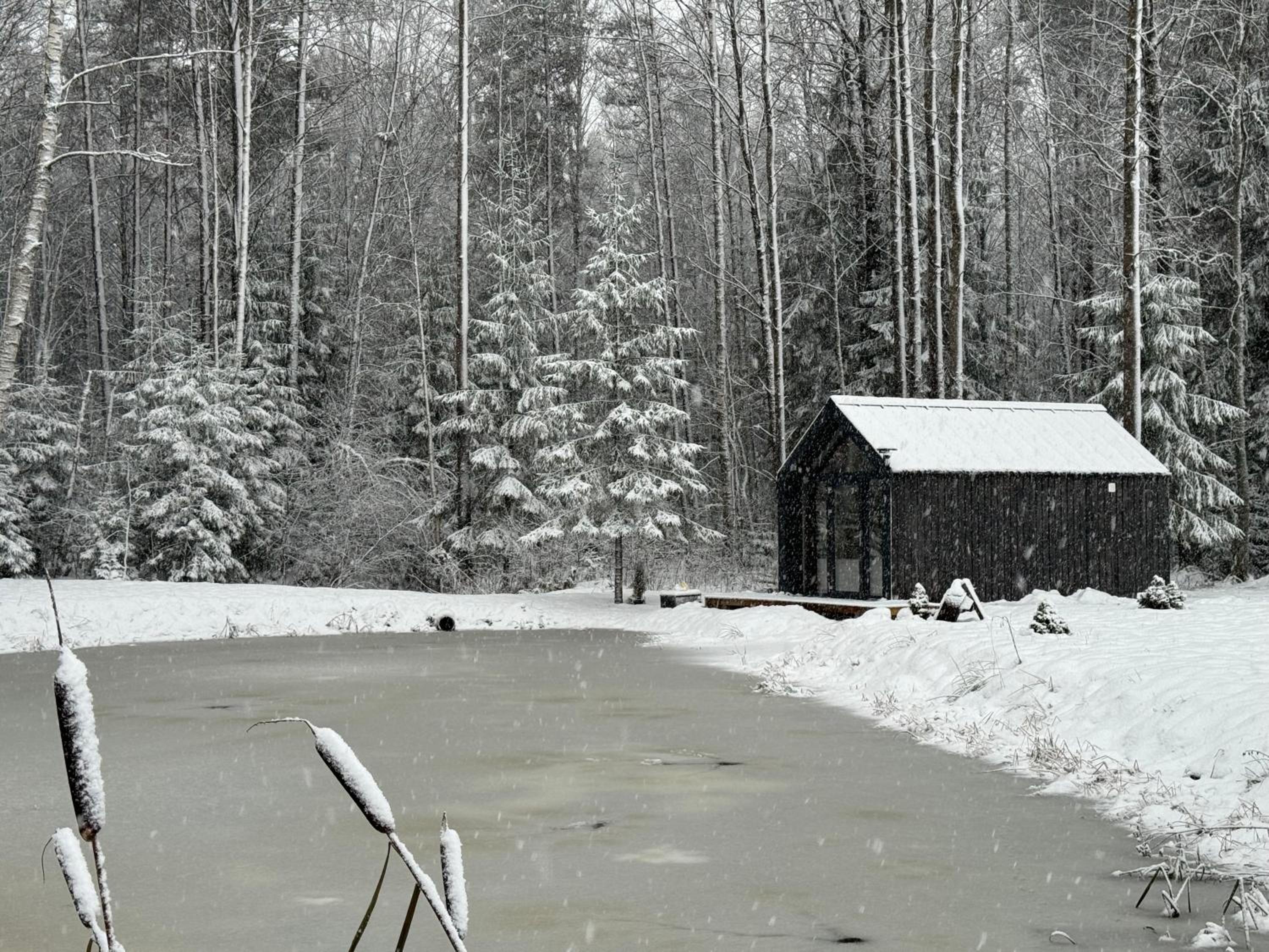 Bird house in Cesis