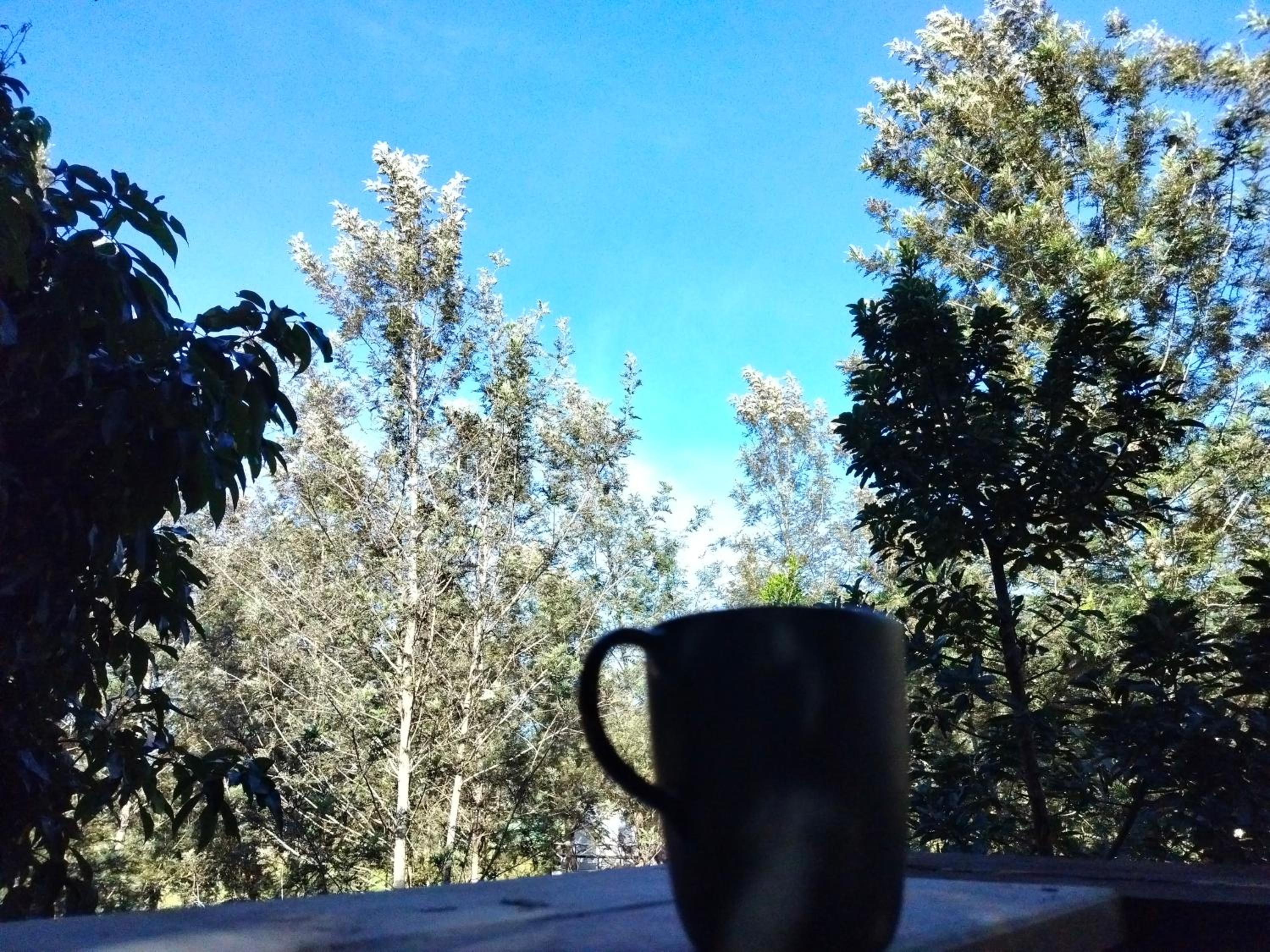 The O'clock Farmstay Khaokor view 2