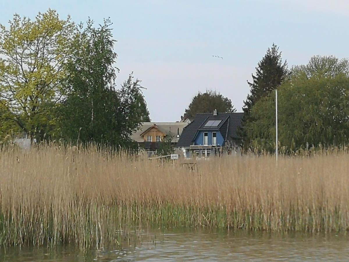 Boddenkutter