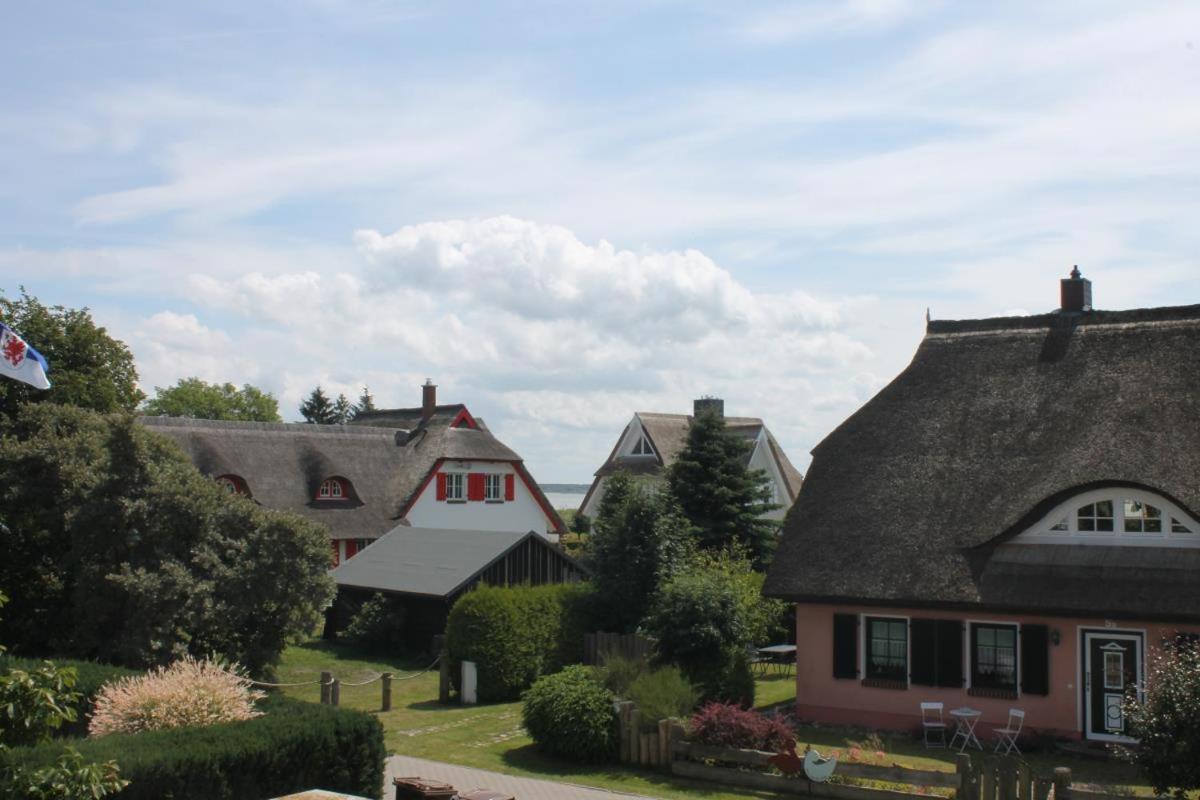 Ferienwohnung Harmonie in Born