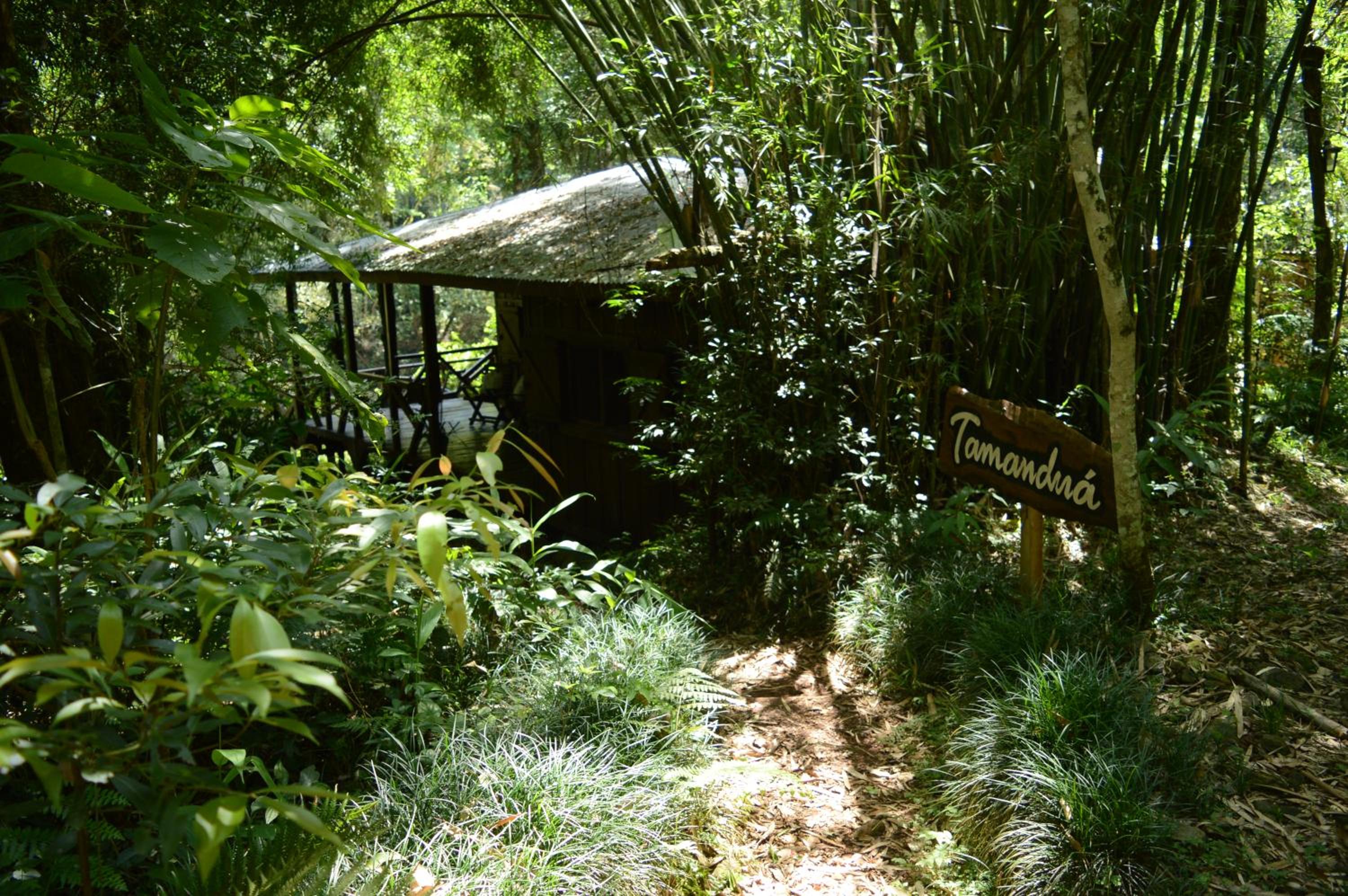 Margay - Reserva Natural y Lodge de Selva