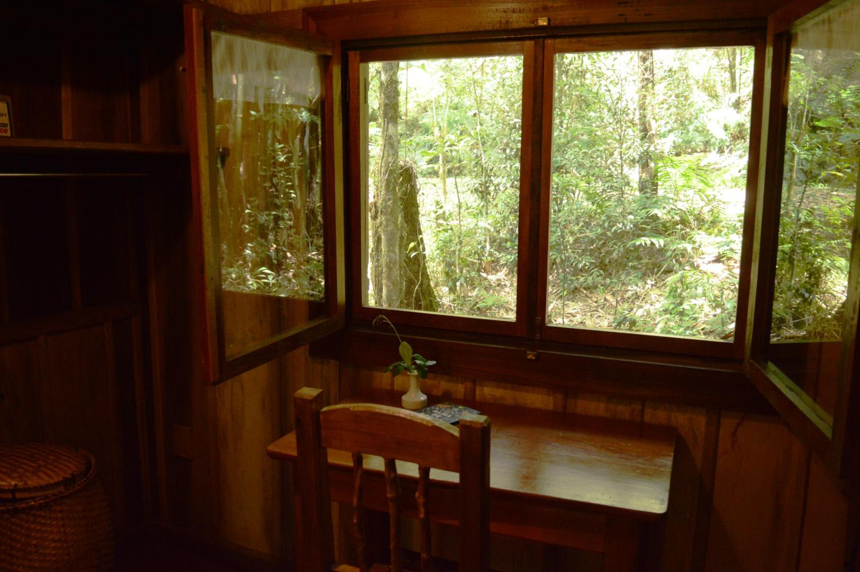 Margay - Reserva Natural y Lodge de Selva
