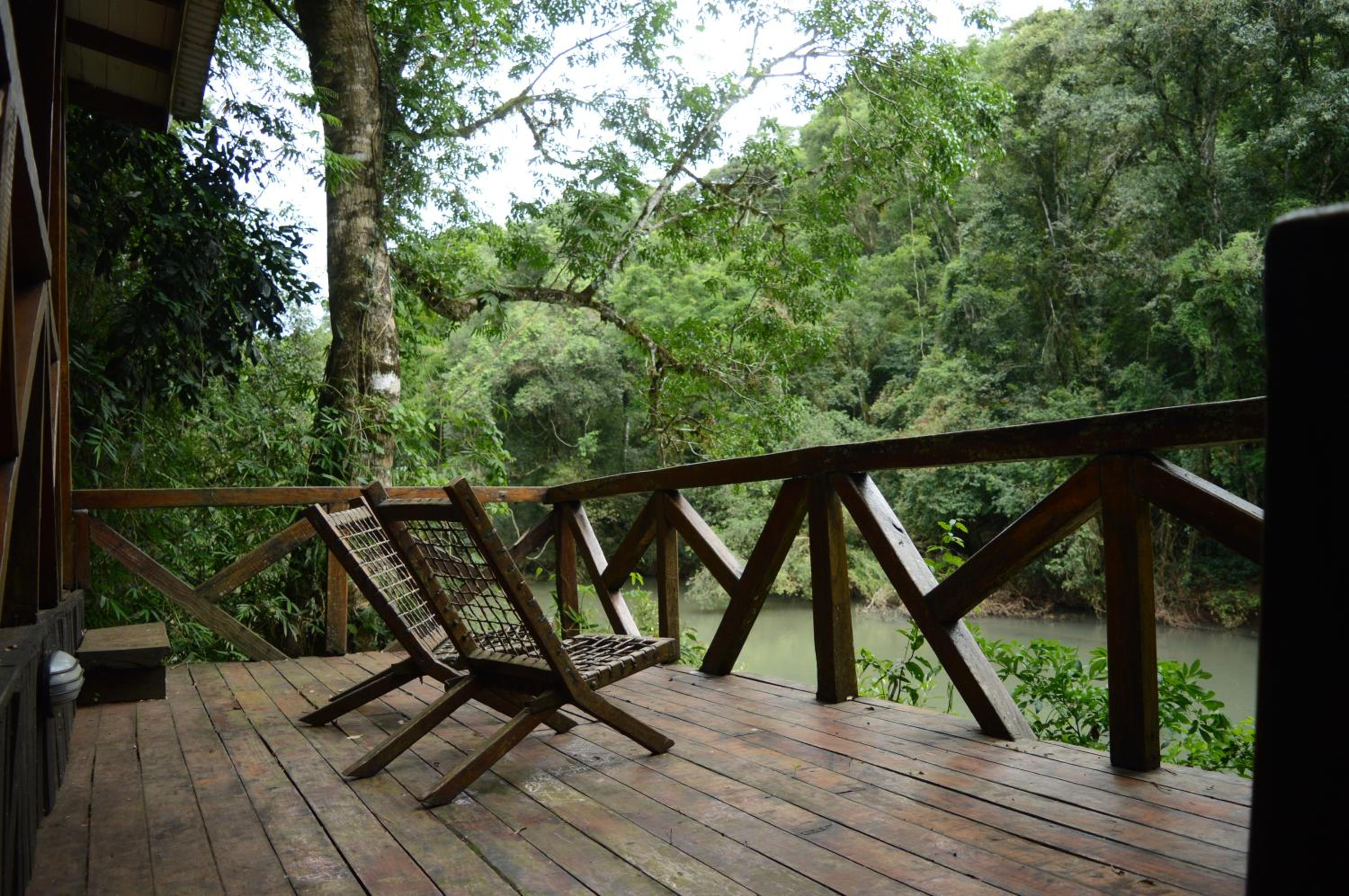 Margay - Reserva Natural y Lodge de Selva
